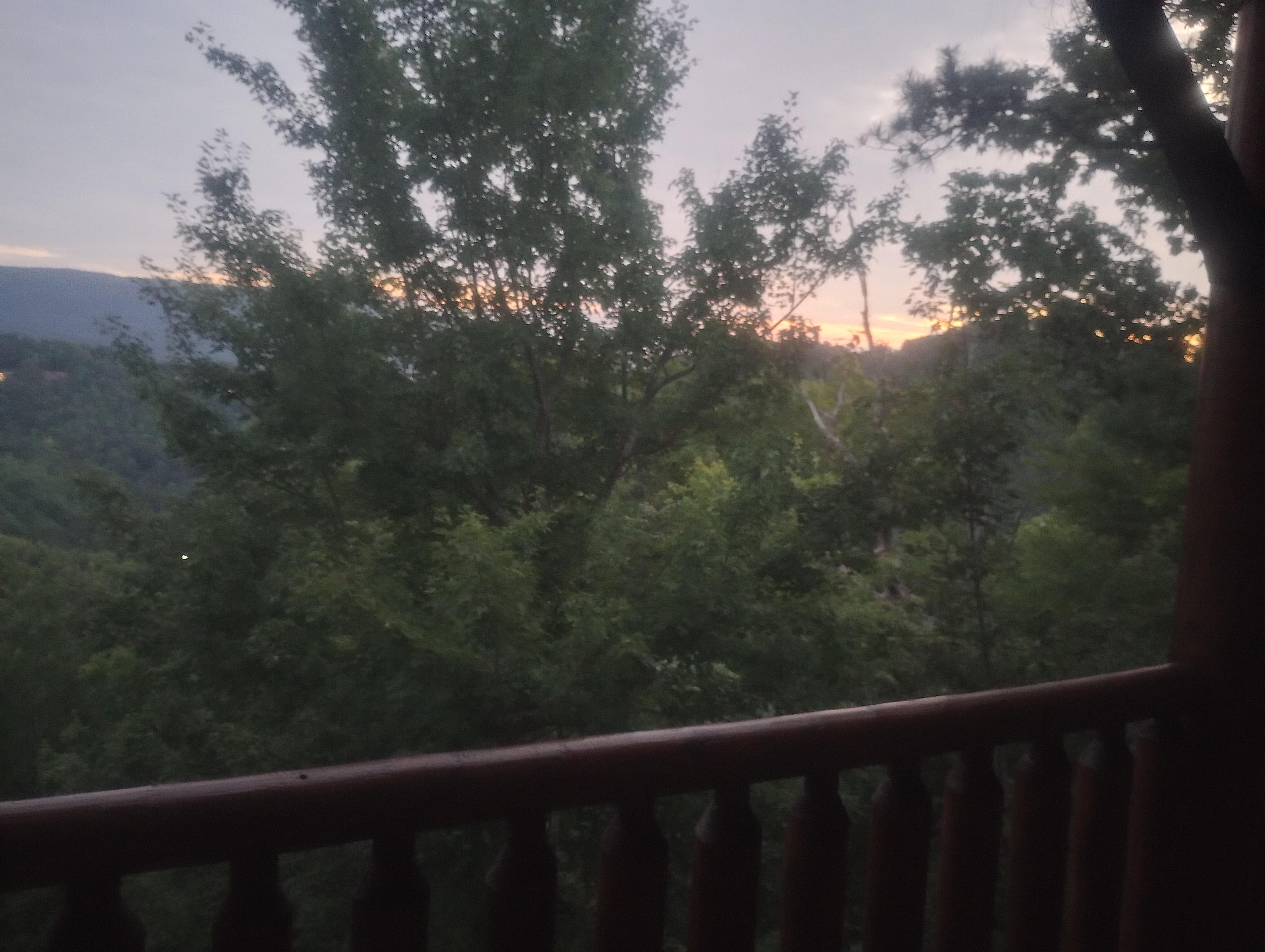 Deck views