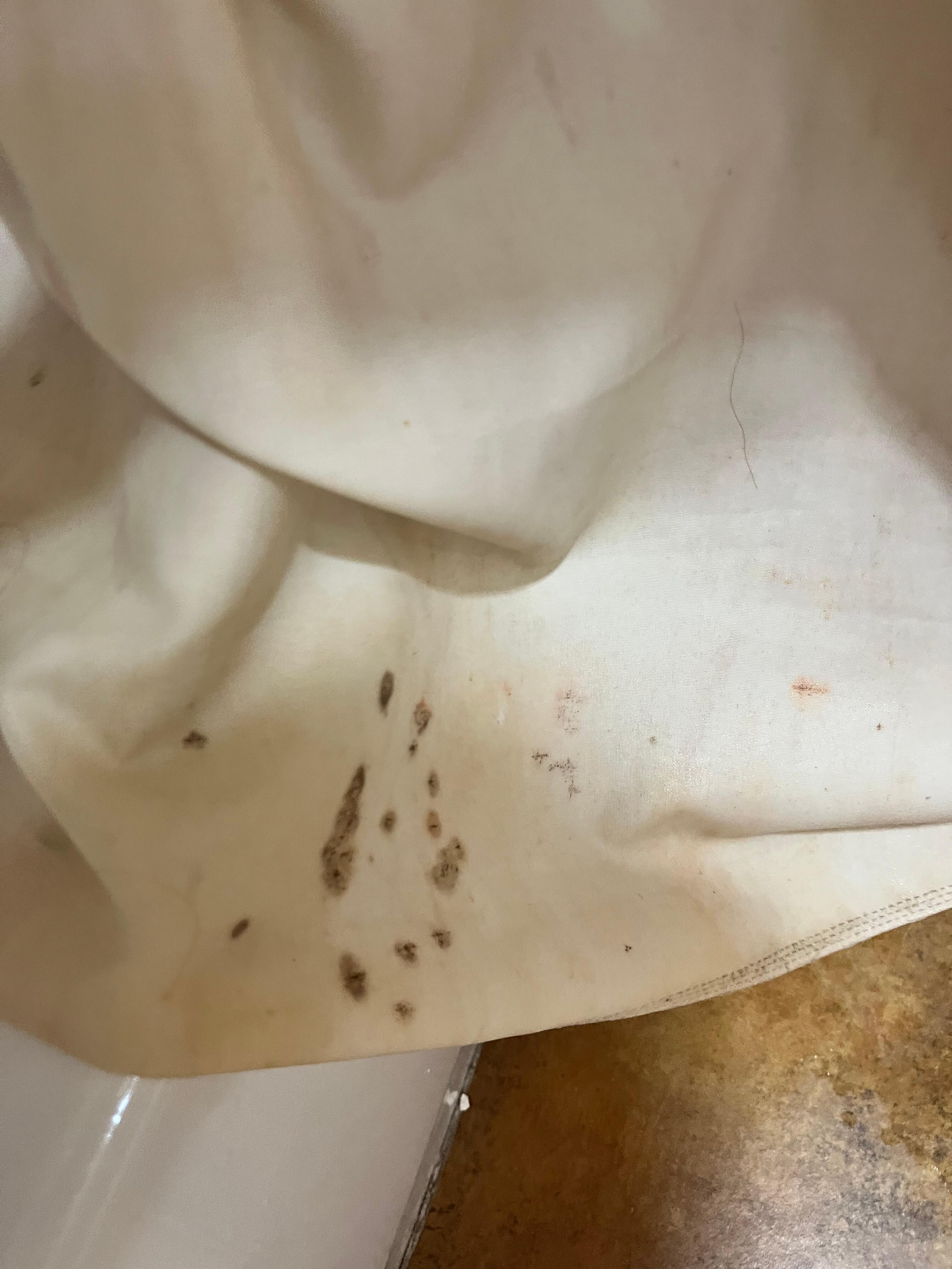 Mold