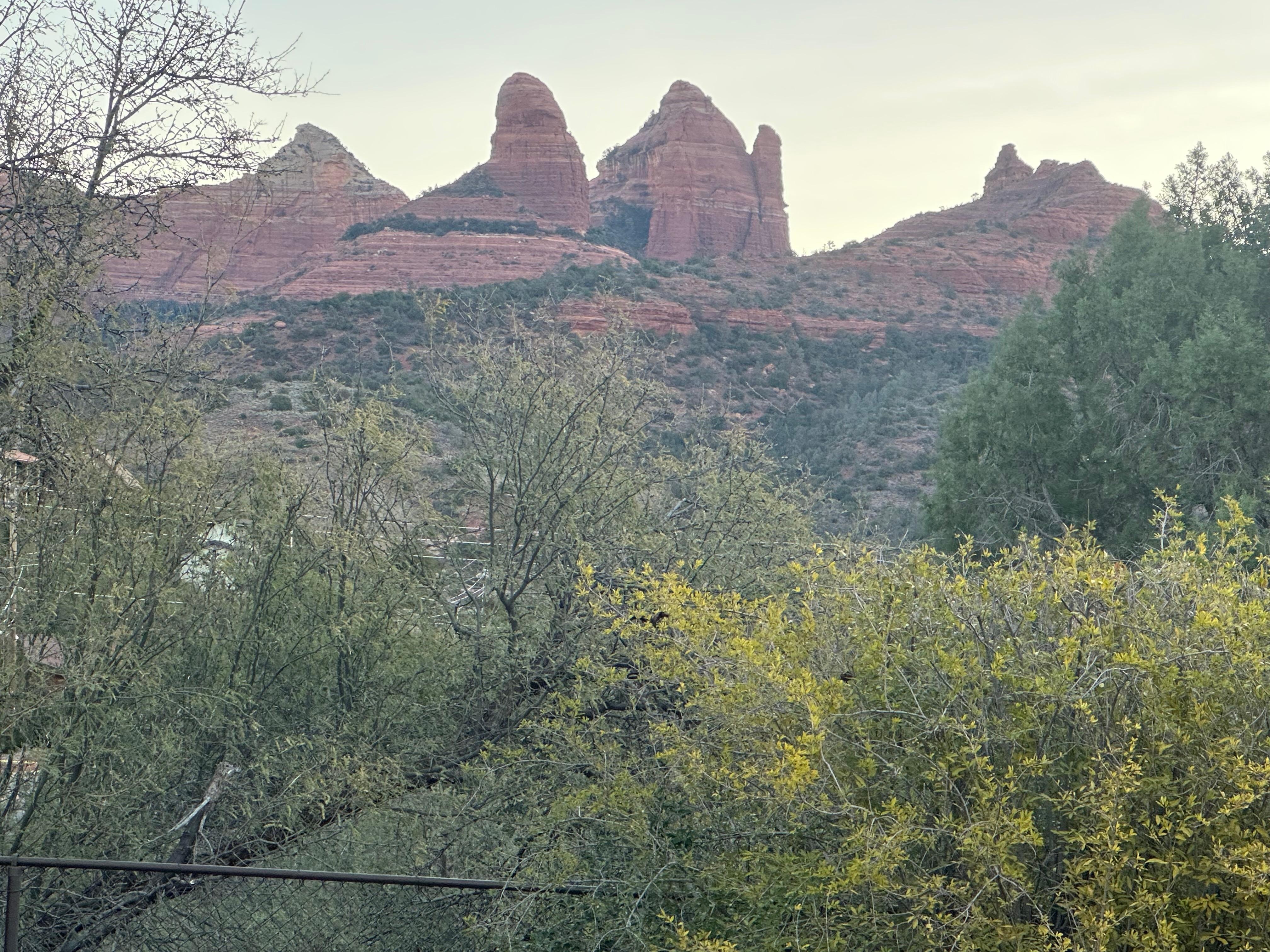 View from the back patio 