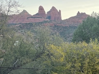 View from the back patio