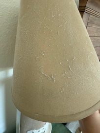 All lamps were covered in dust