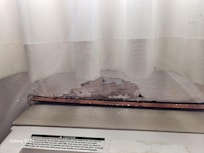 Moldy curtains