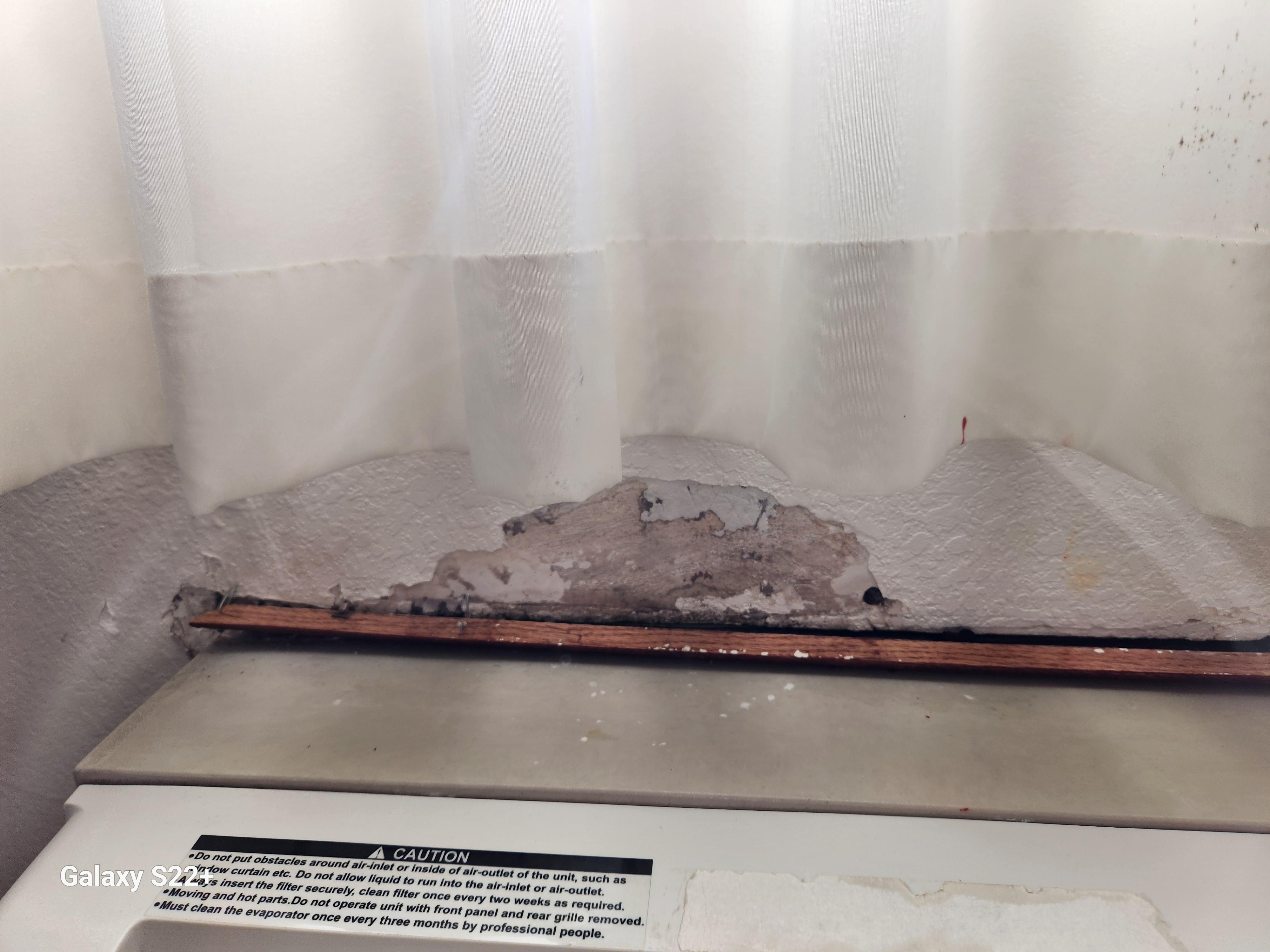 Moldy curtains 