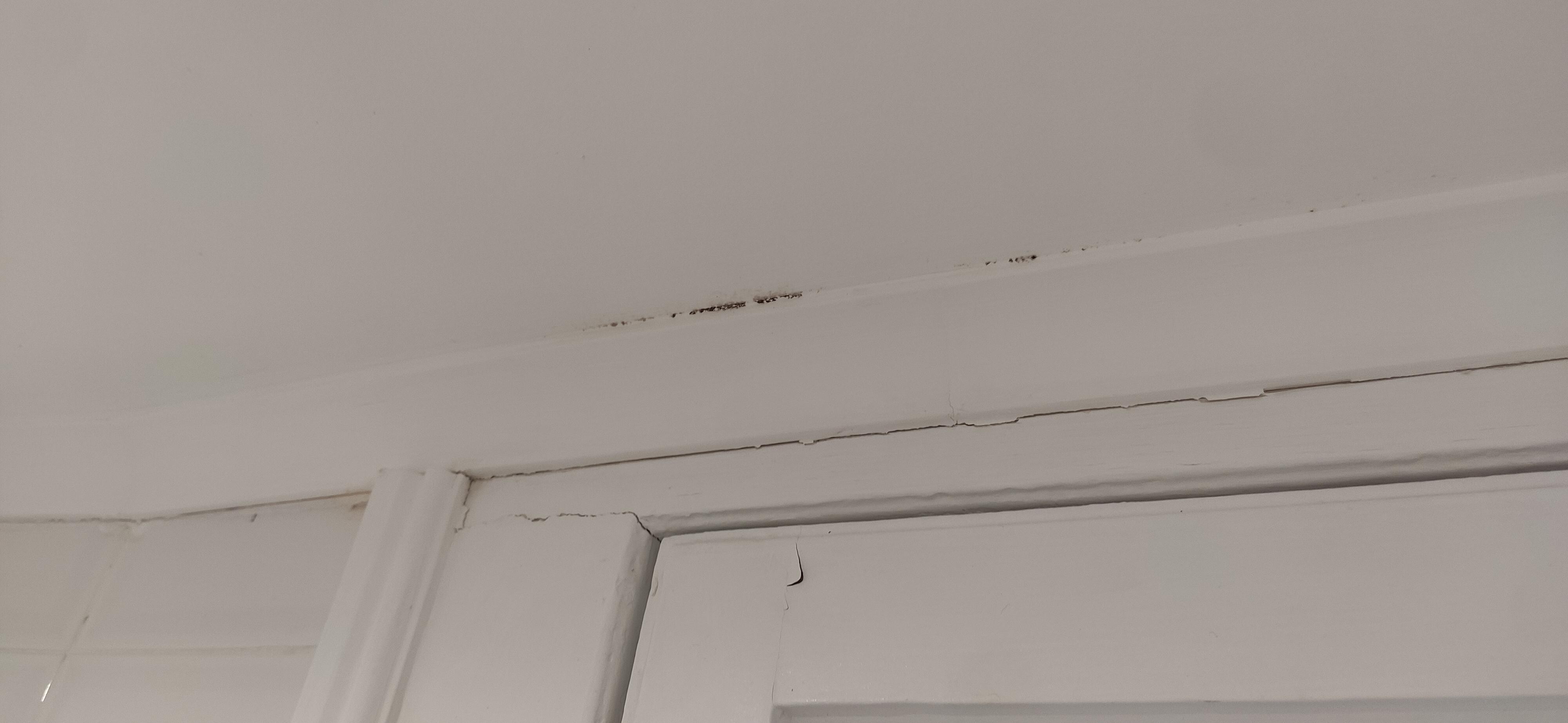 Moisissures sur le mur au dessus de la porte de la salle de bain.