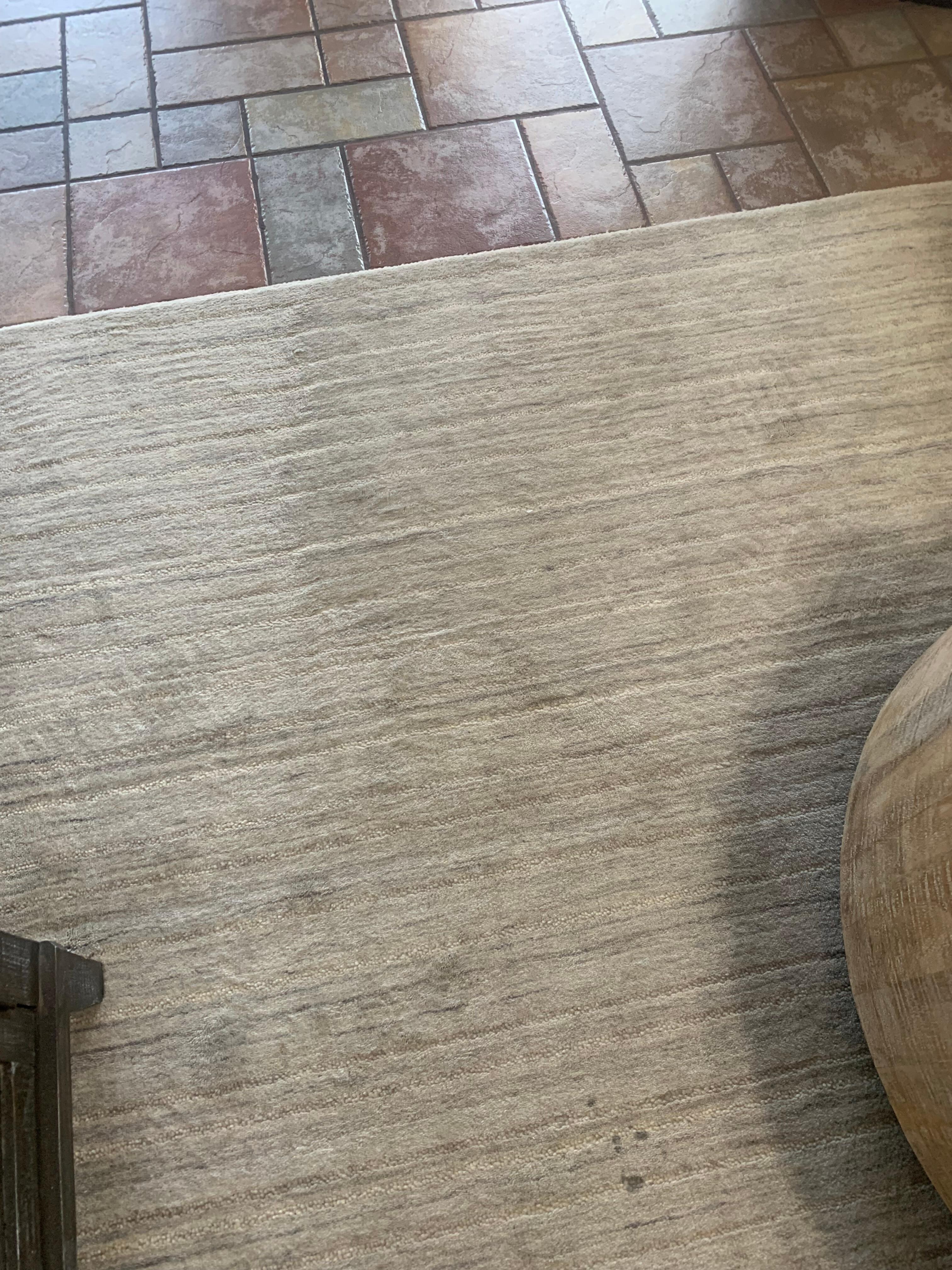 Dirty path on rug facing glass doors.