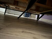 Broken Master Bed Frame