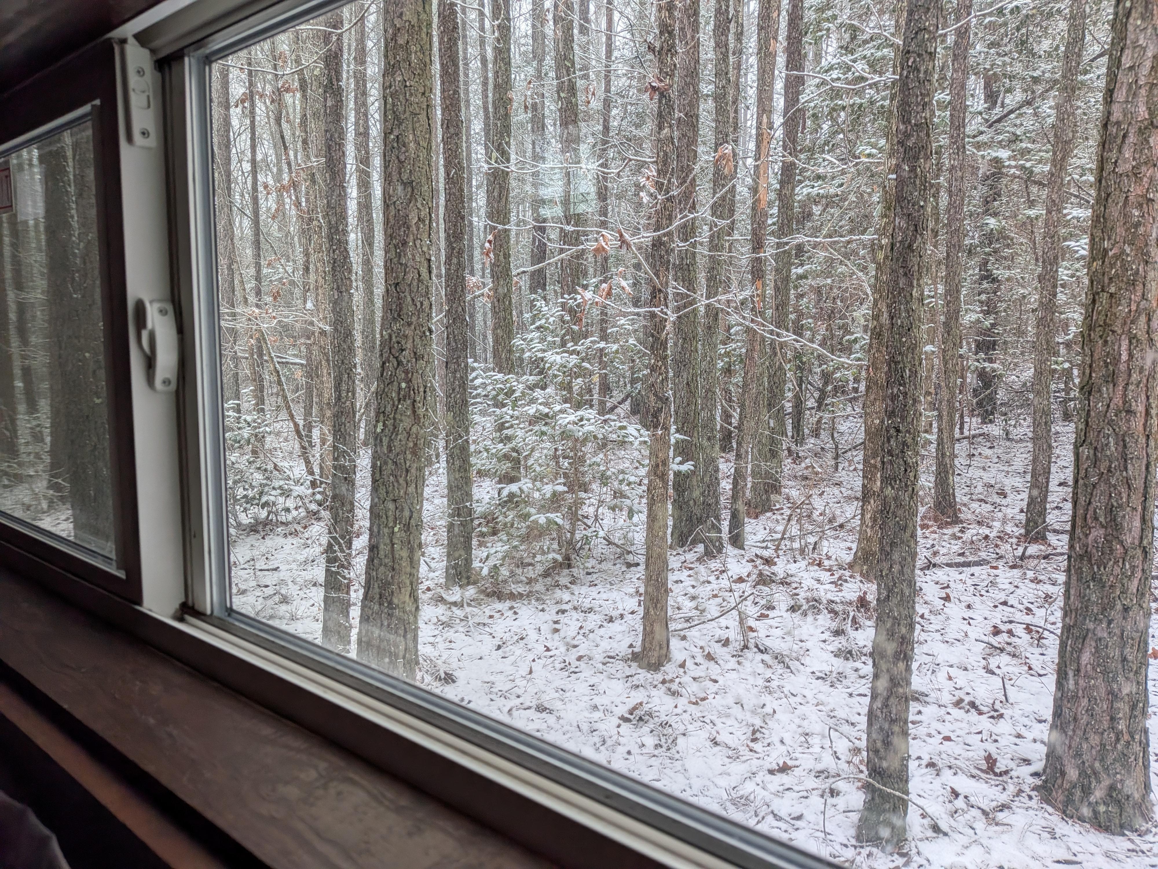 View from the bottom bunk.
