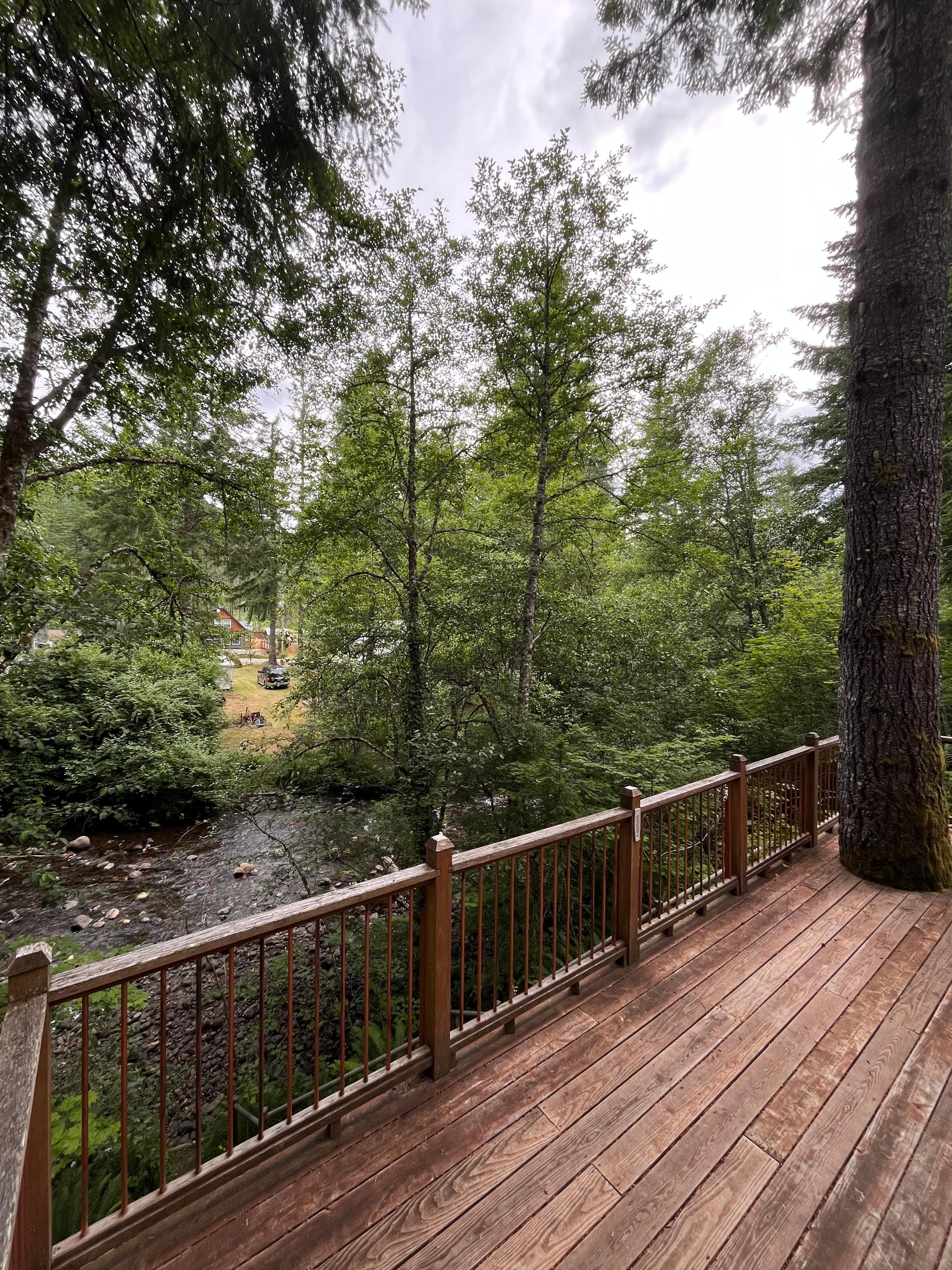 View from the back porch