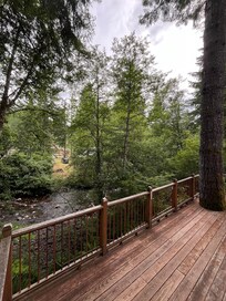 View from the back porch