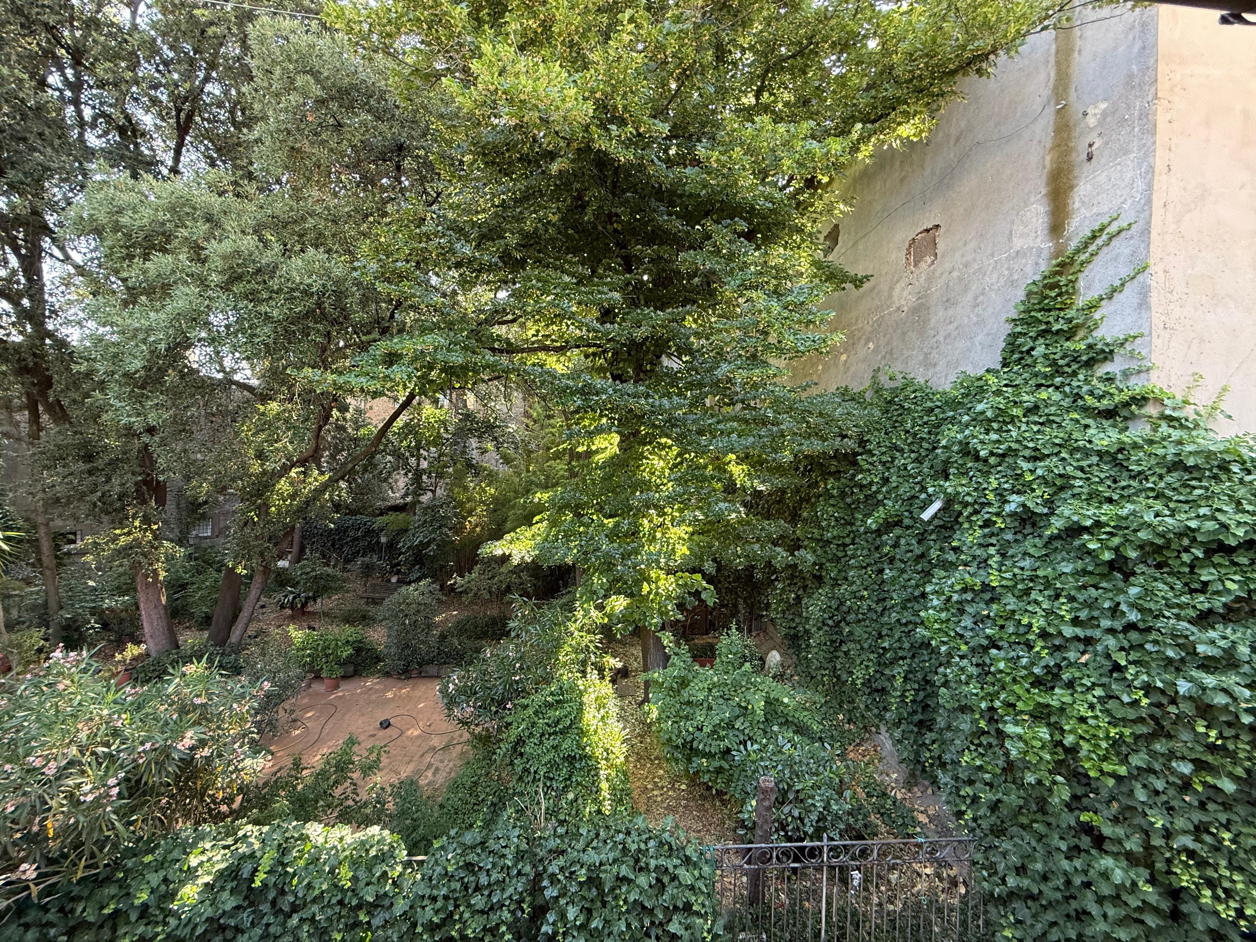 A view of the gardens from the bedroom window