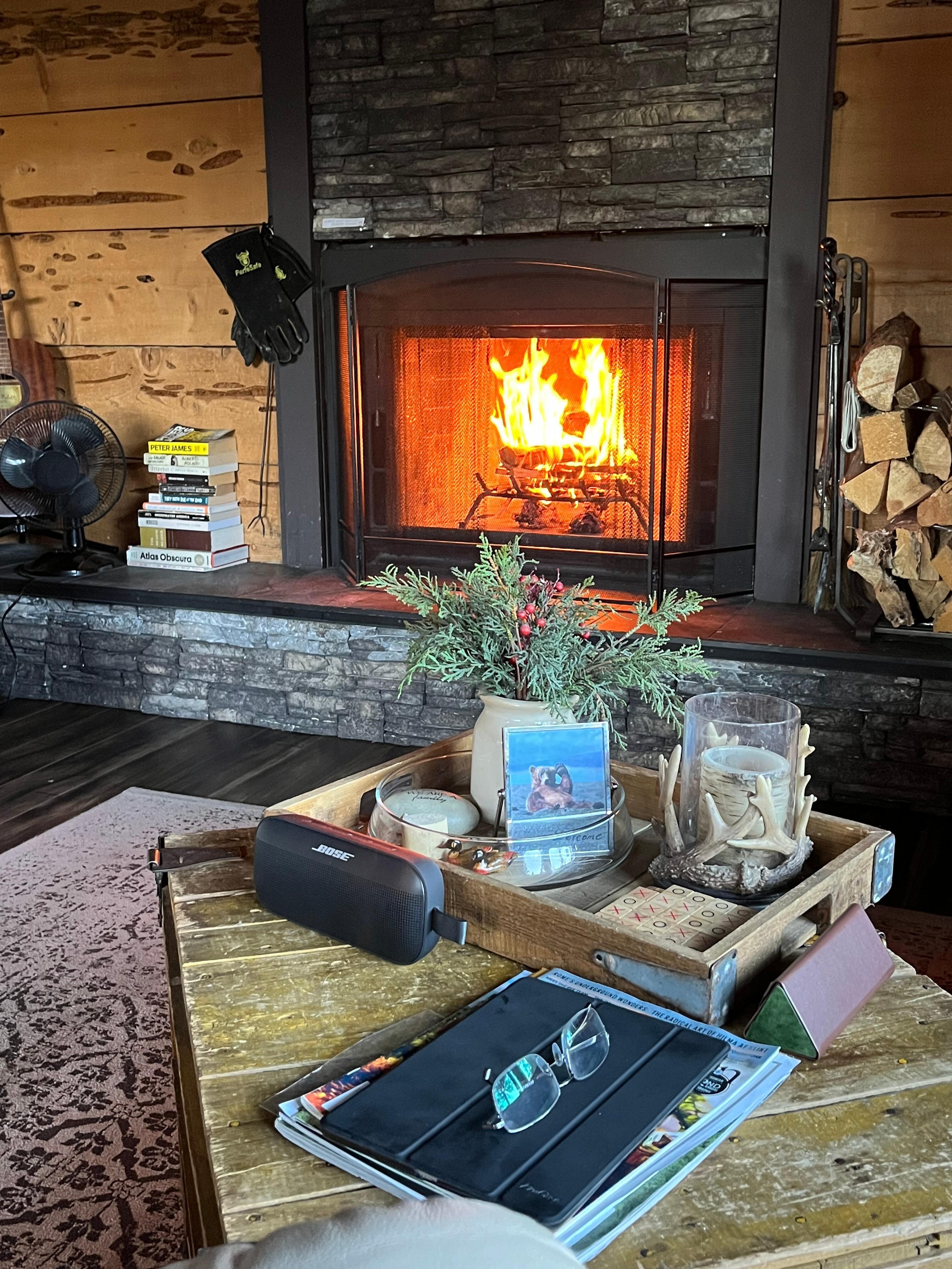 Fireplace and living room