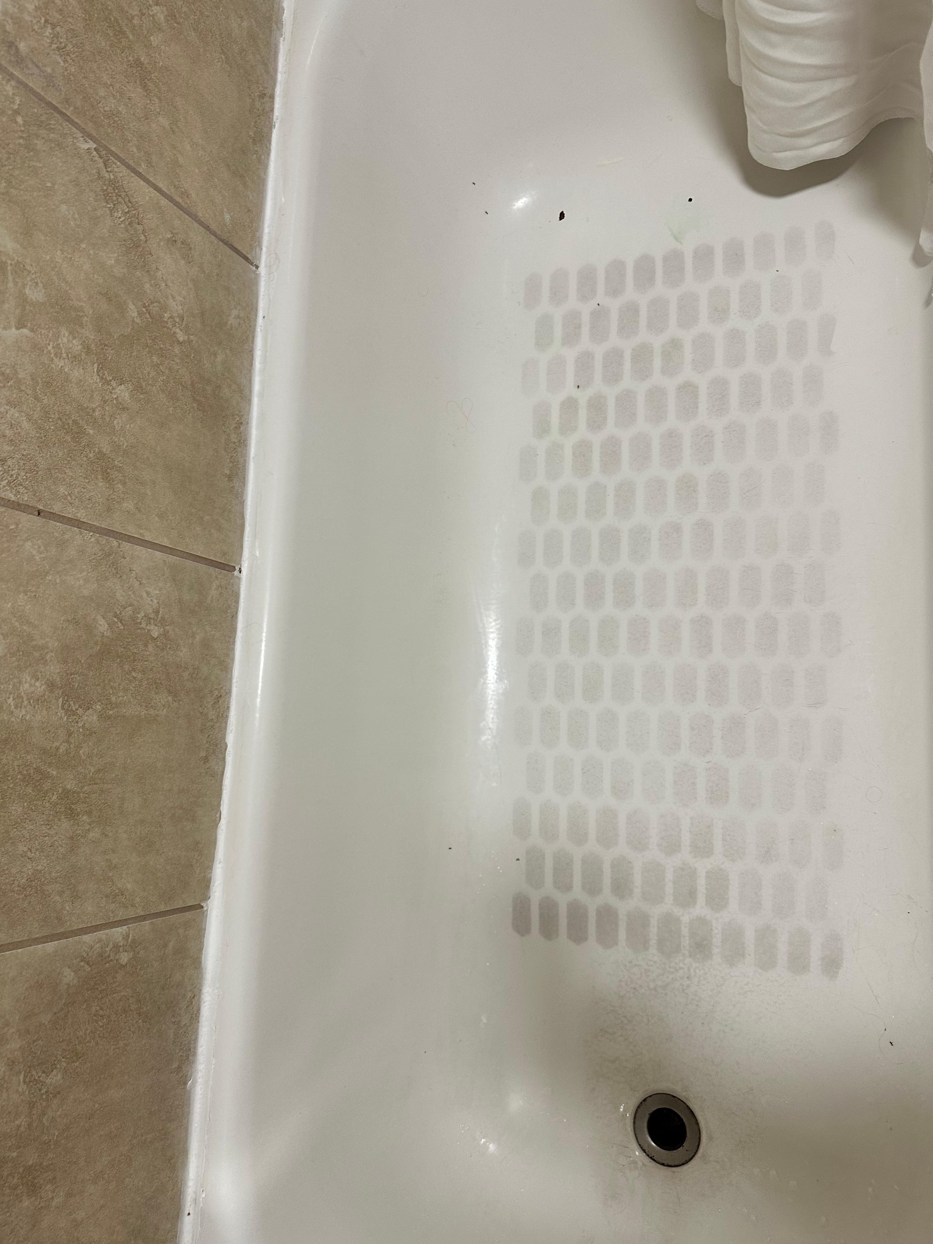 Ants and dirty bathtub