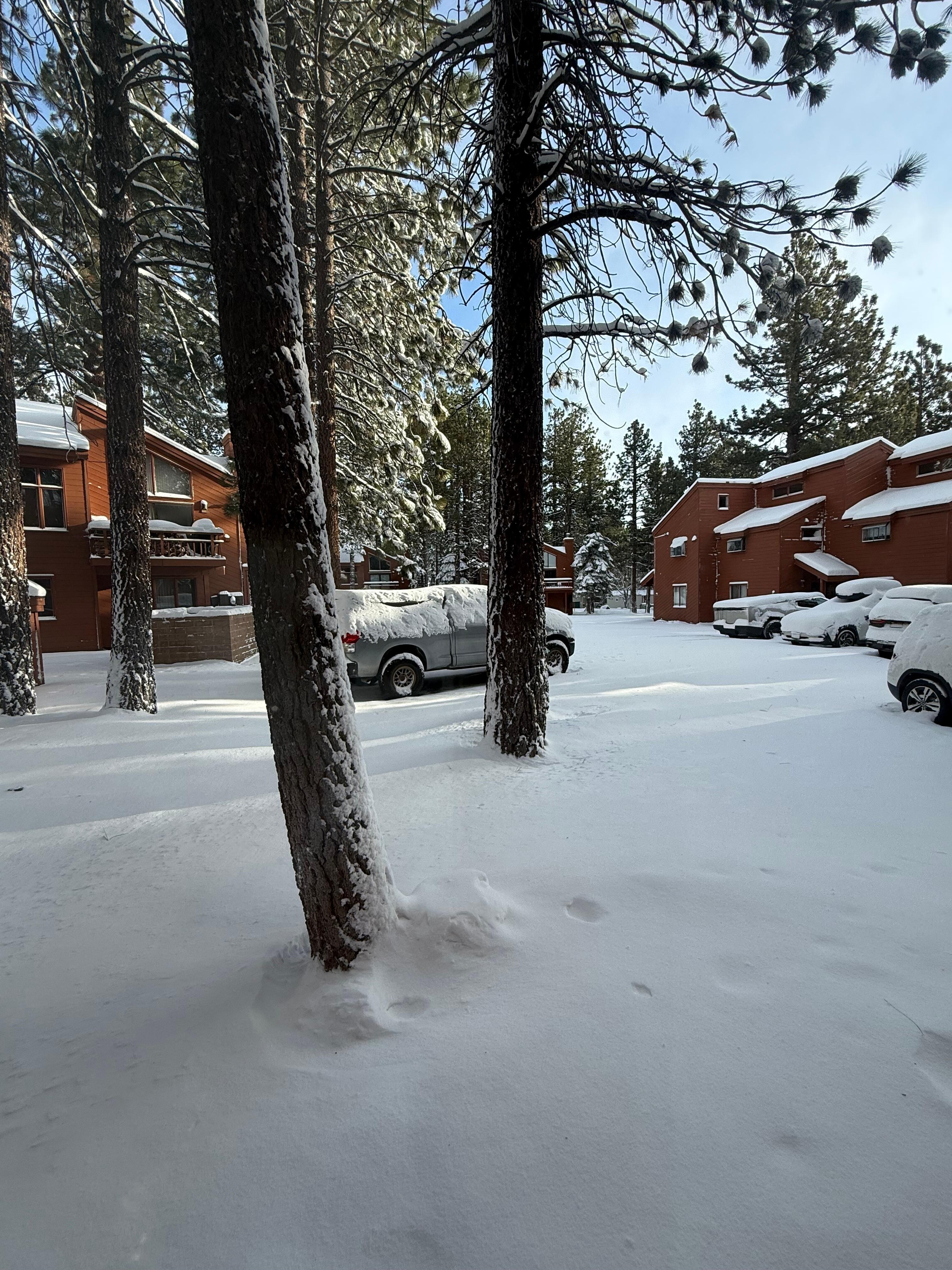 Bonus it snowed overnight! Photo taken from inside parking just out front 