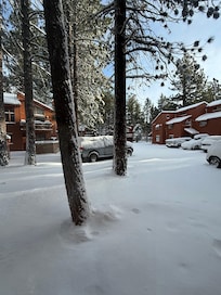 Bonus it snowed overnight! Photo taken from inside parking just out front