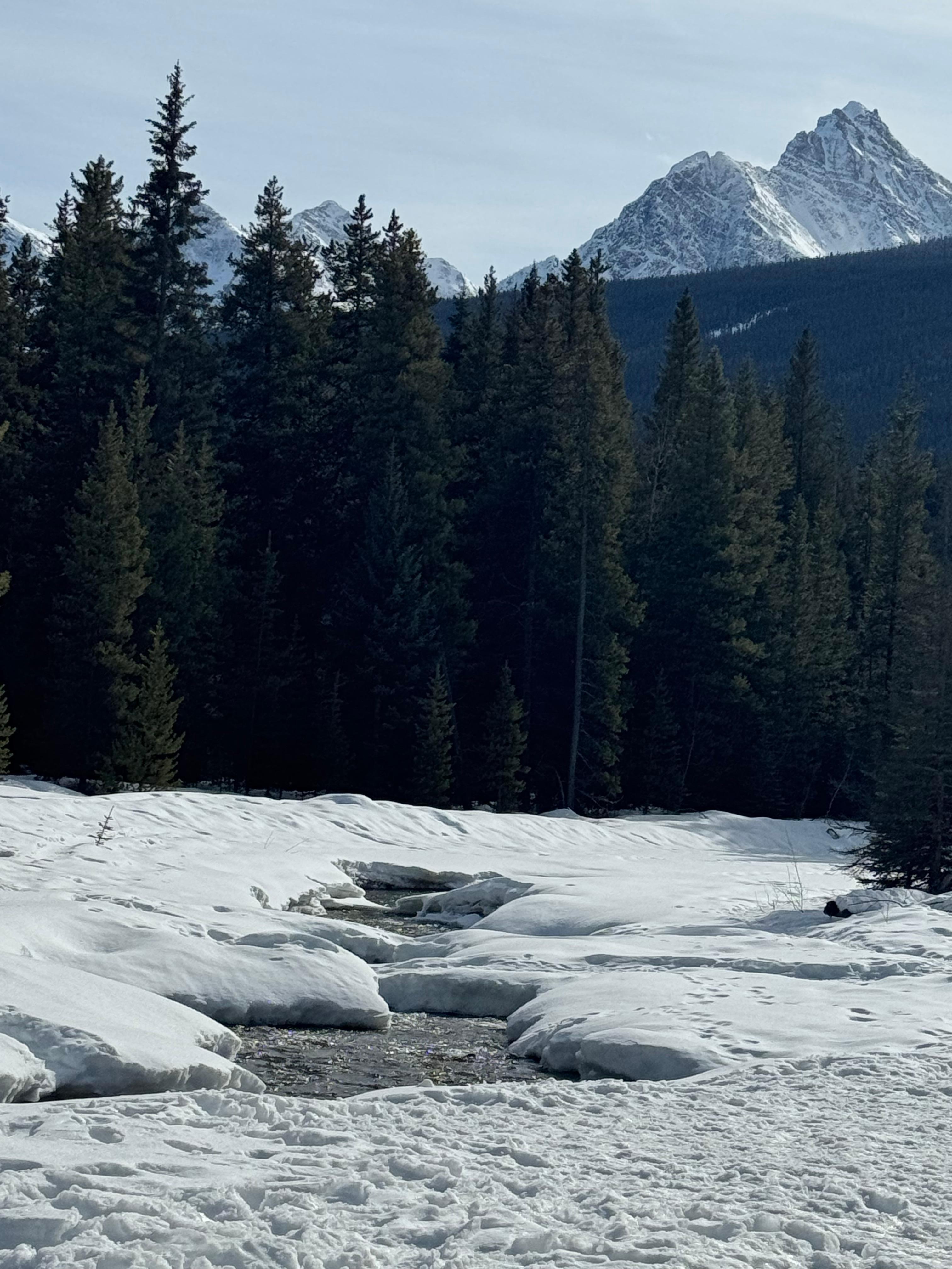 The river running by the property