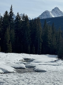 The river running by the property