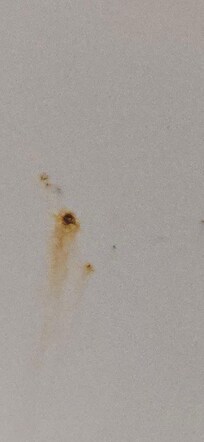 There was rust in the bathtub