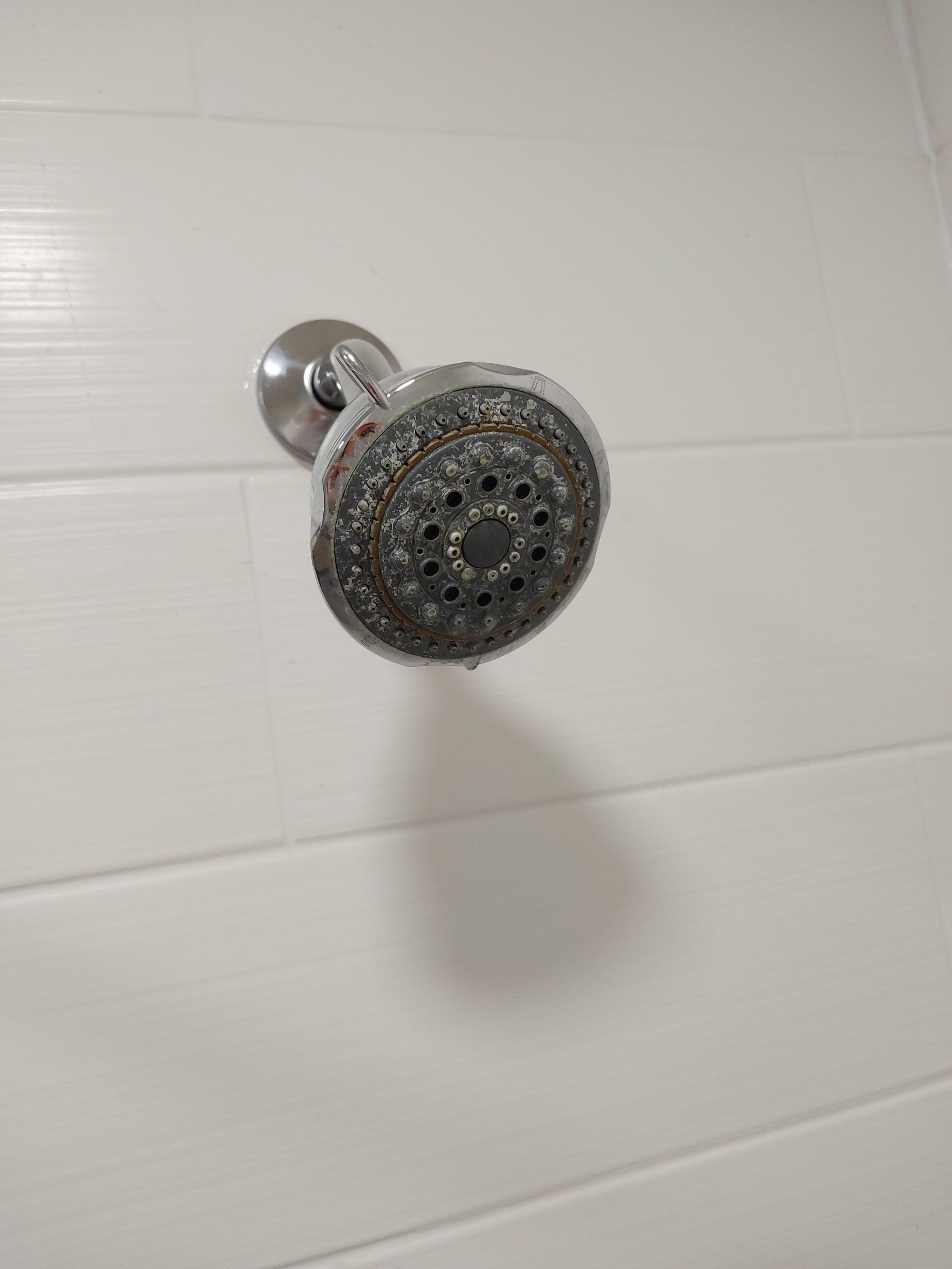 Grungy shower head 