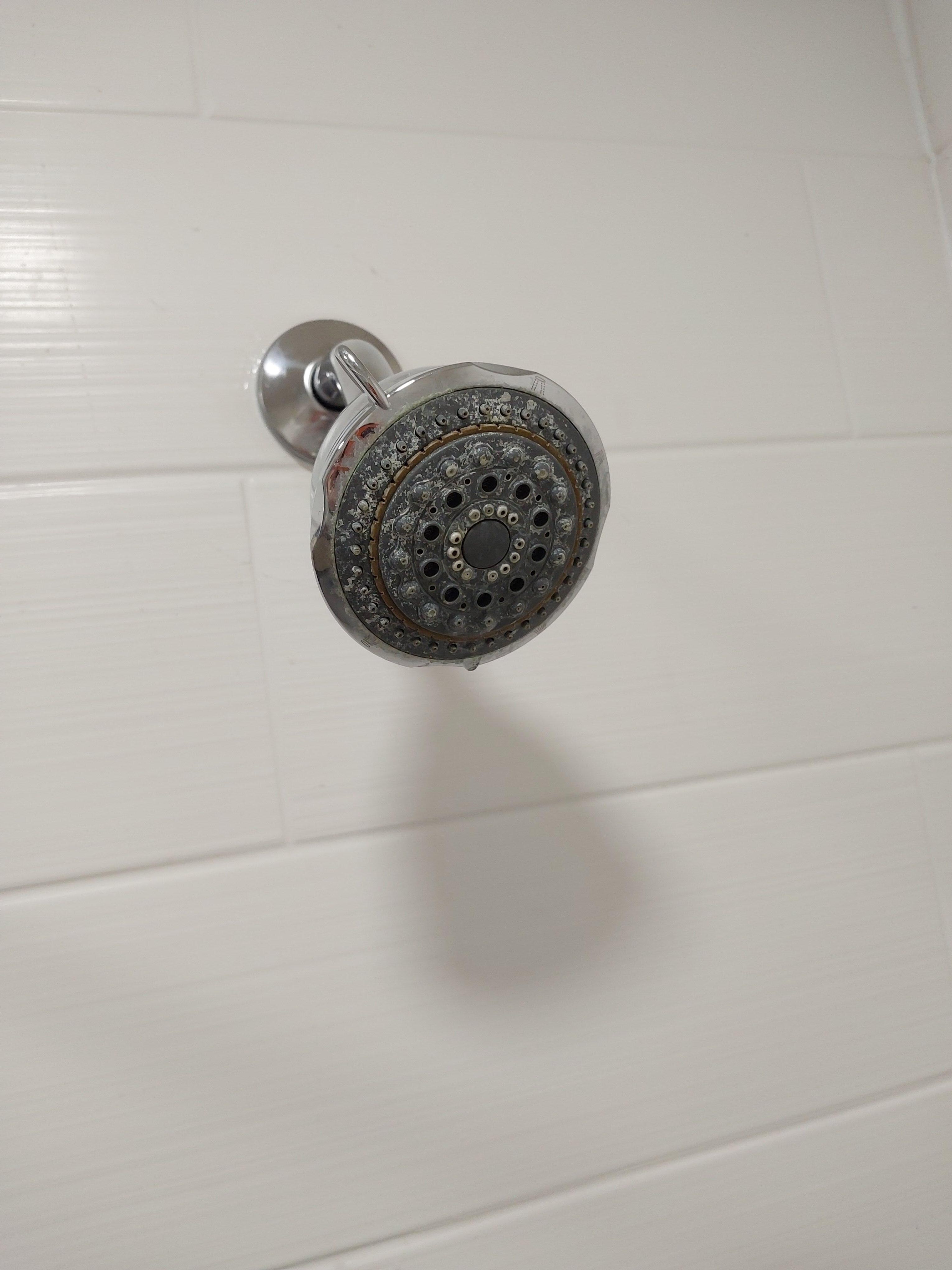 Grungy shower head 
