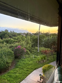 View from the dining room