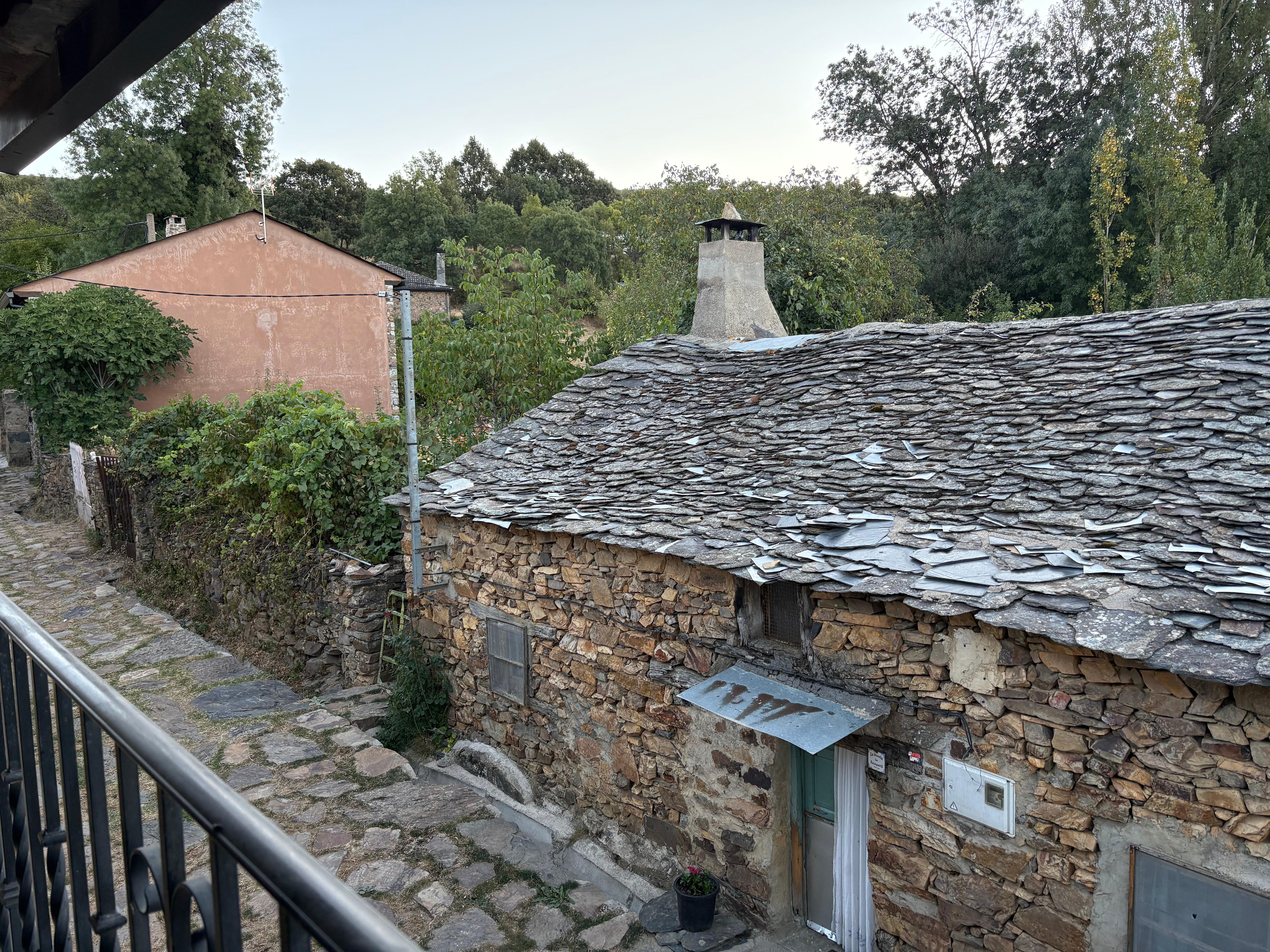 Vistas desde la habitación de dos camas 