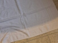 ants present near window and also found in bed