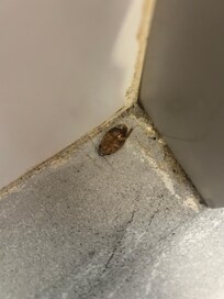 In our bathroom !!!!