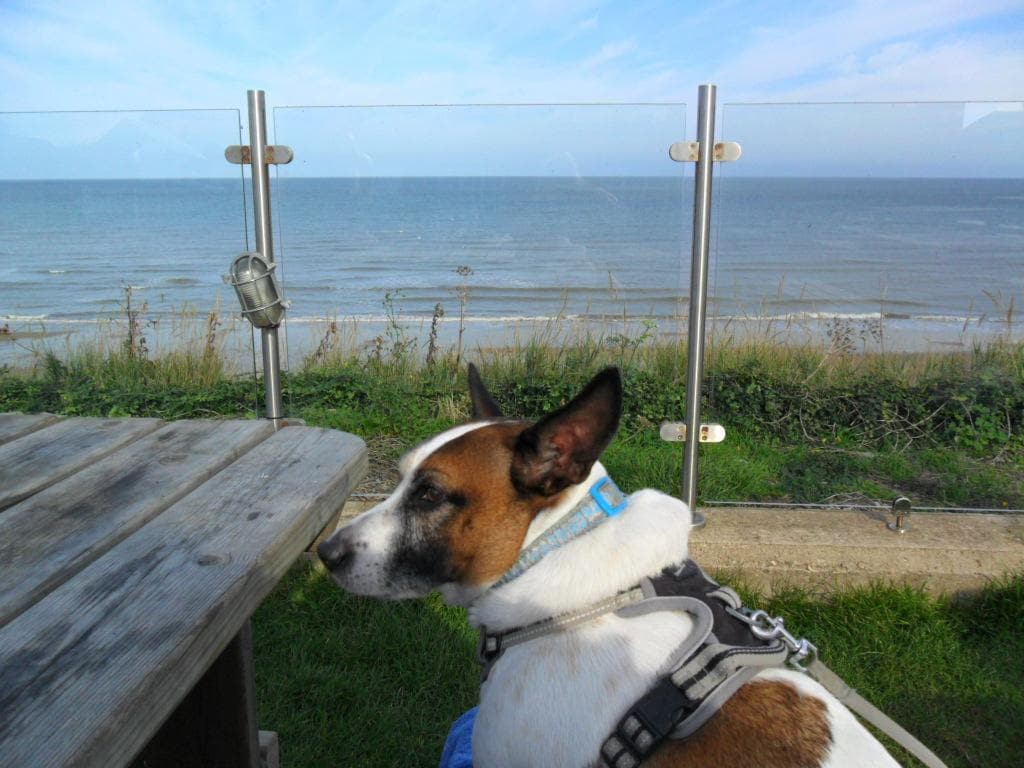 View from the the Inn's garden