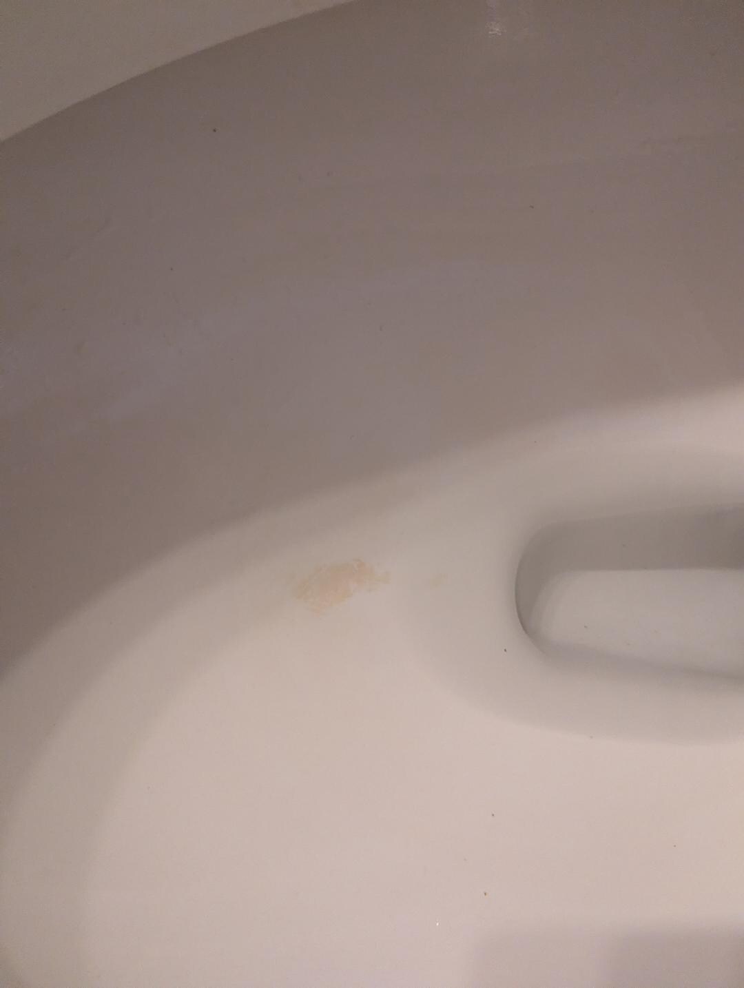Dirty Toilet