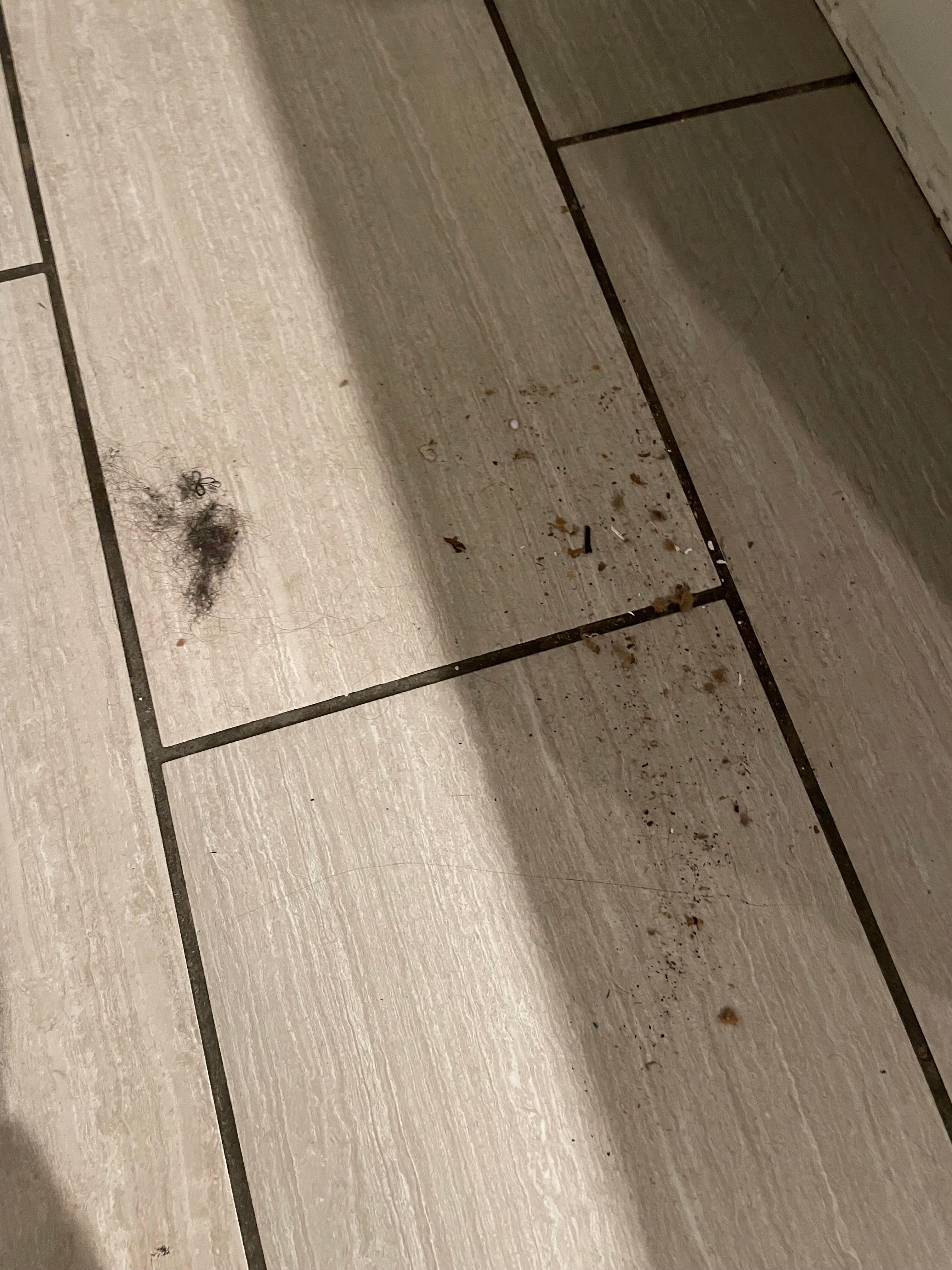 Filth upon walking in kitchen 