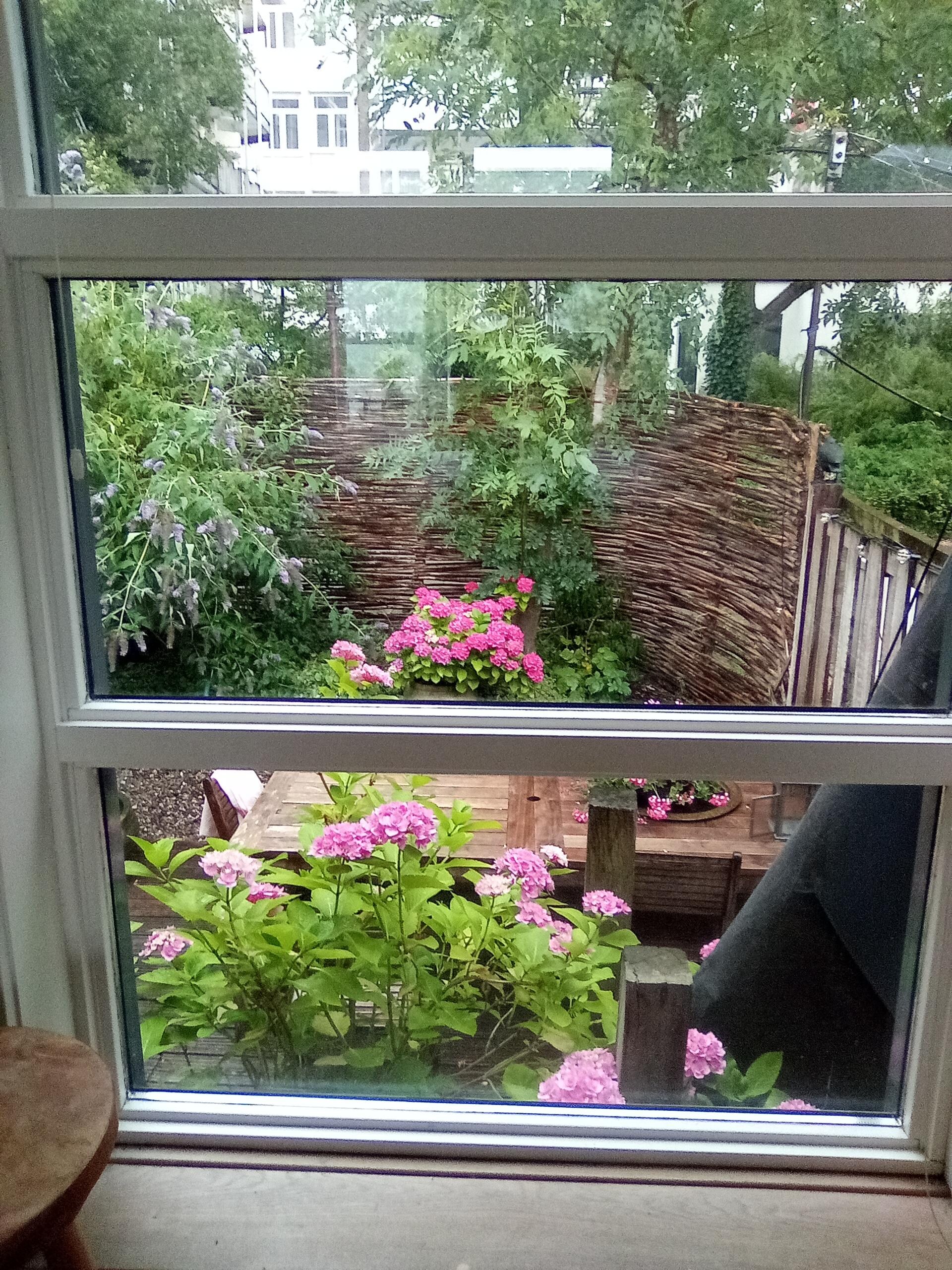 Patio/ dock view from large window in bedroom.