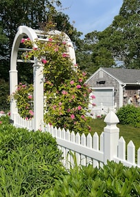 Front yard