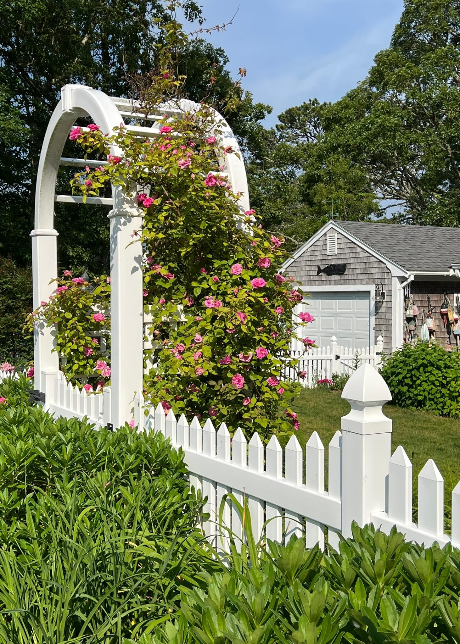 Front yard