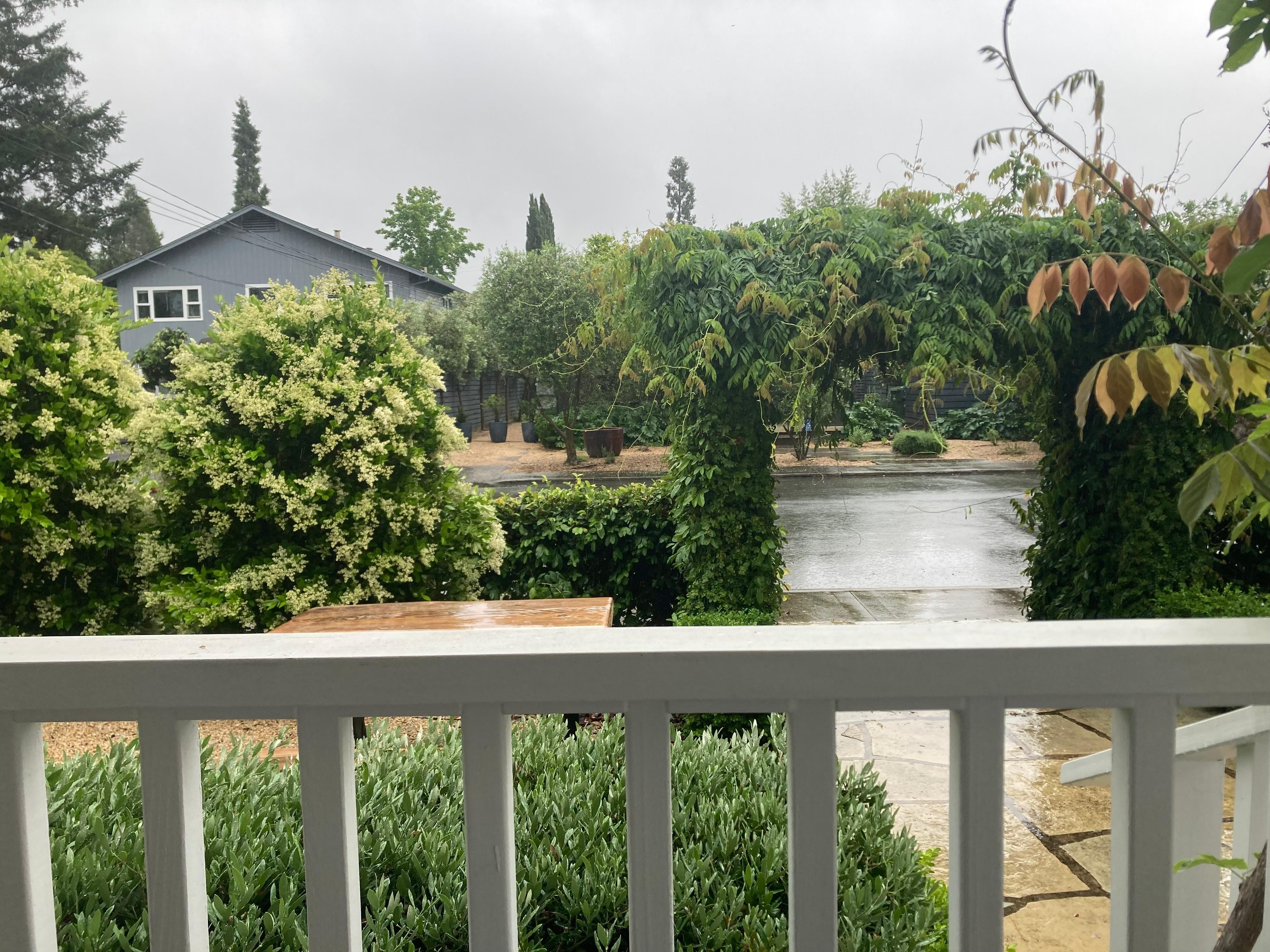 Morning coffee view on a rainy day.