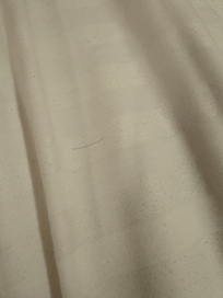 Hair on blanket