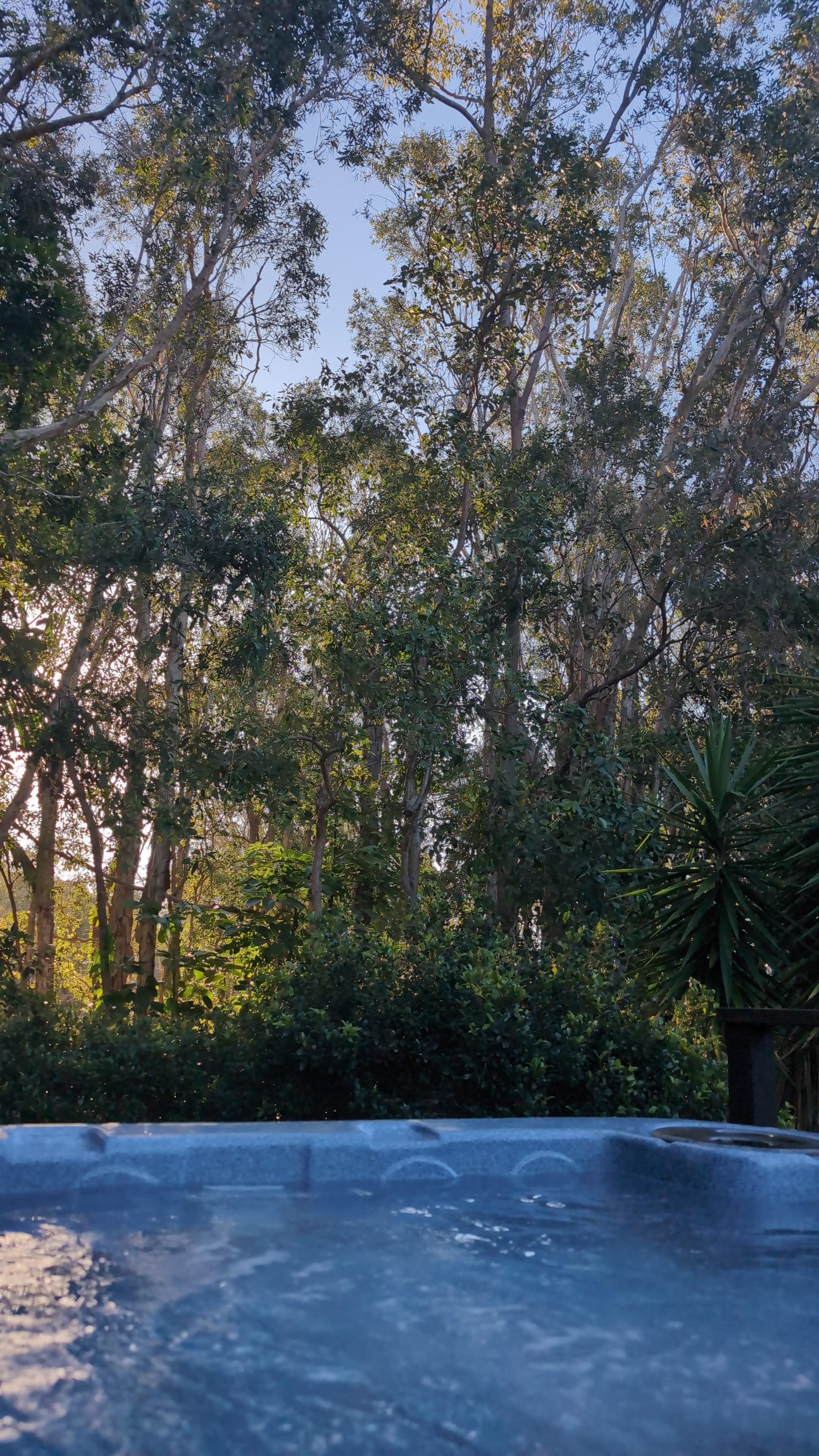 A sunset view from the hot tub.