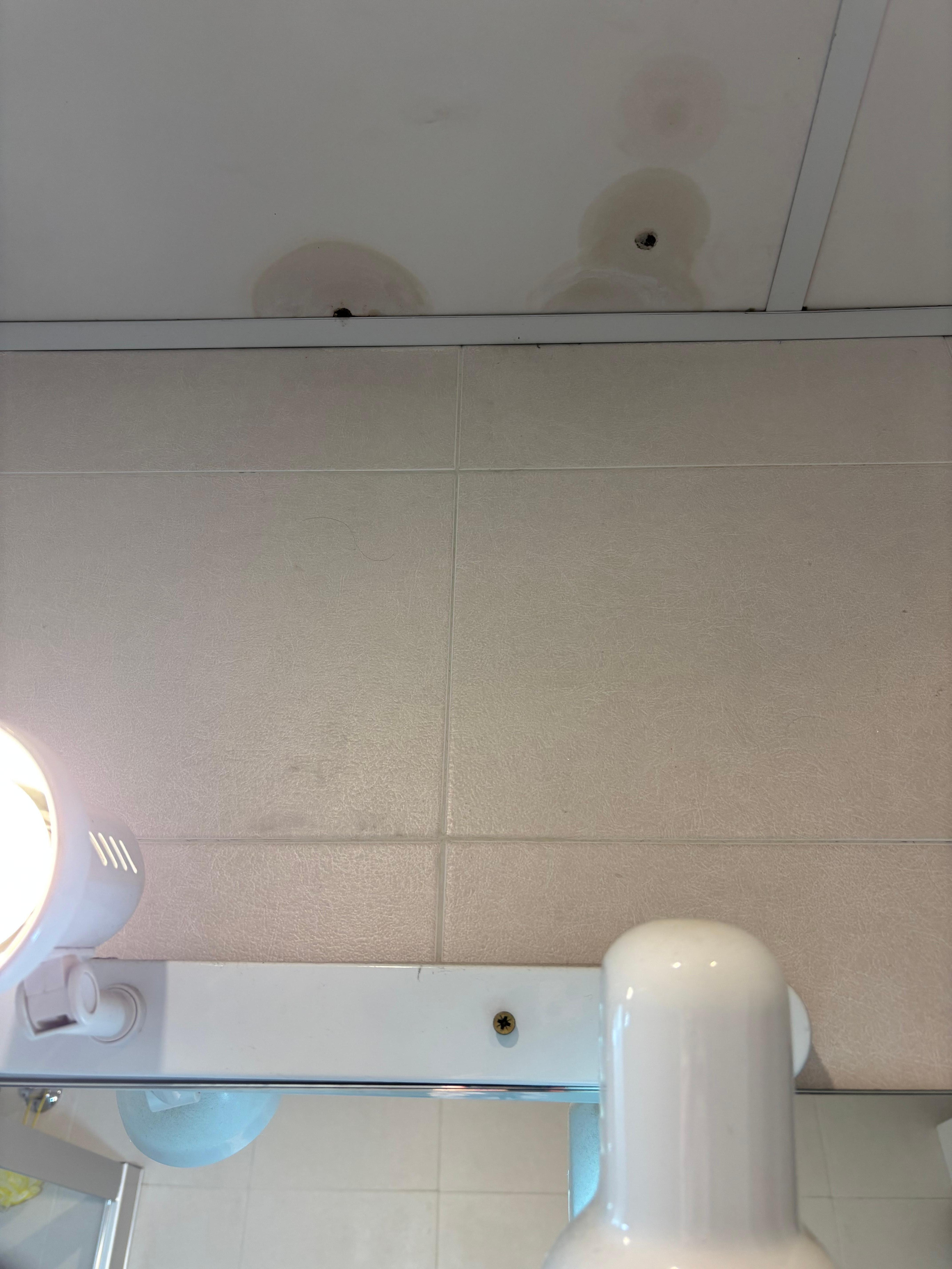 Ceiling above the sink and light fixture