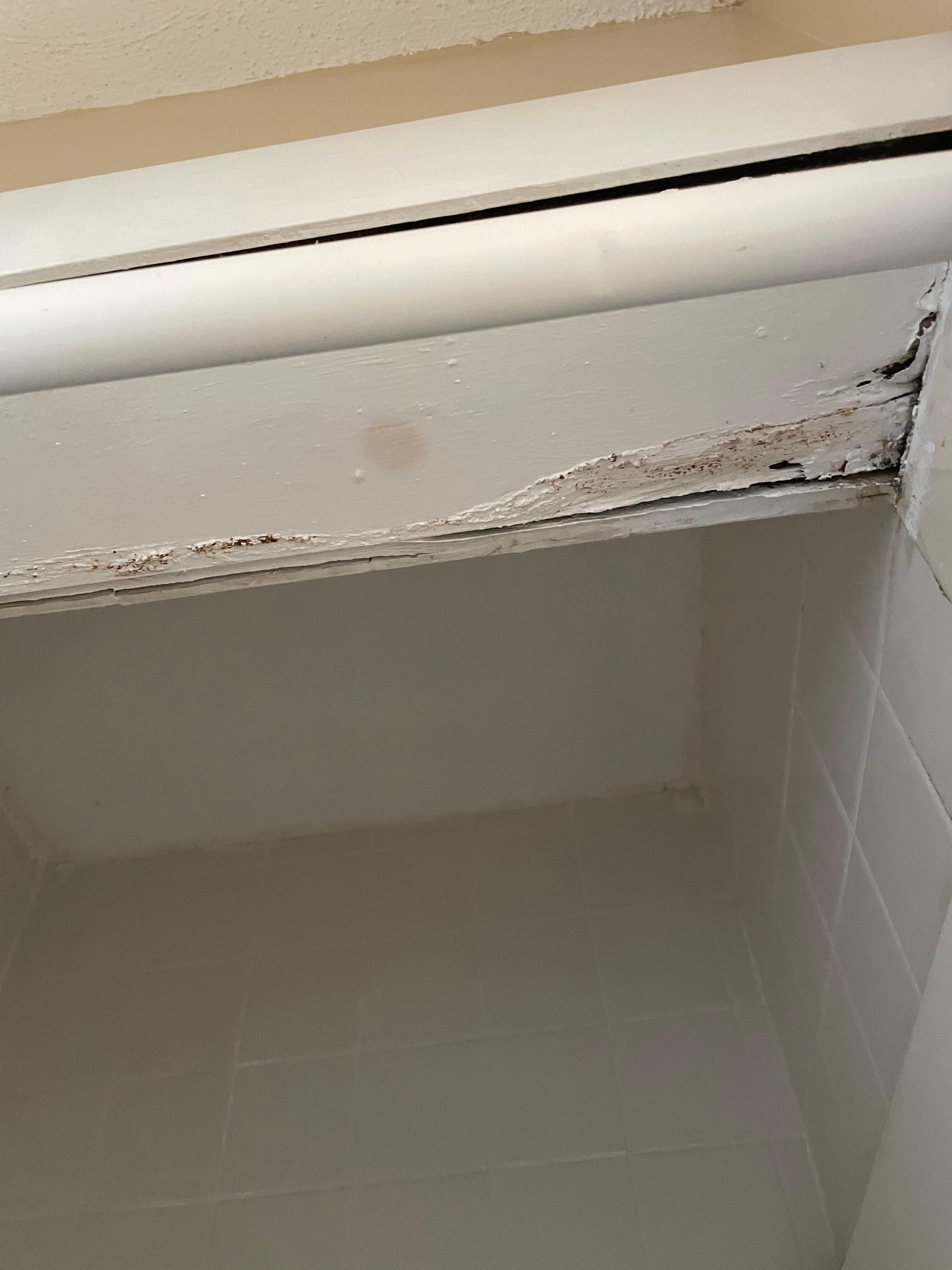 Stand up shower downstairs