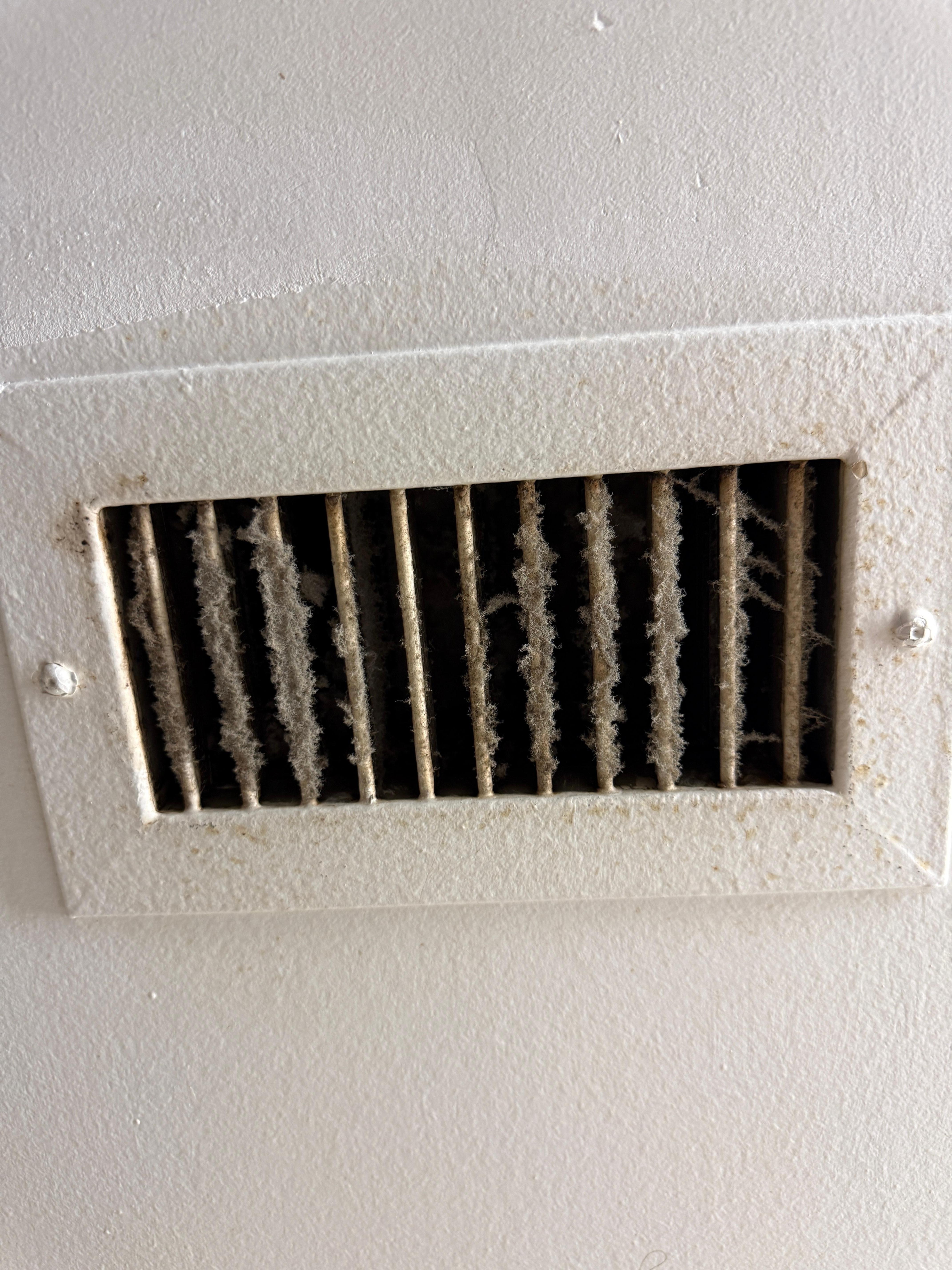 bathroom dust full of years of dust