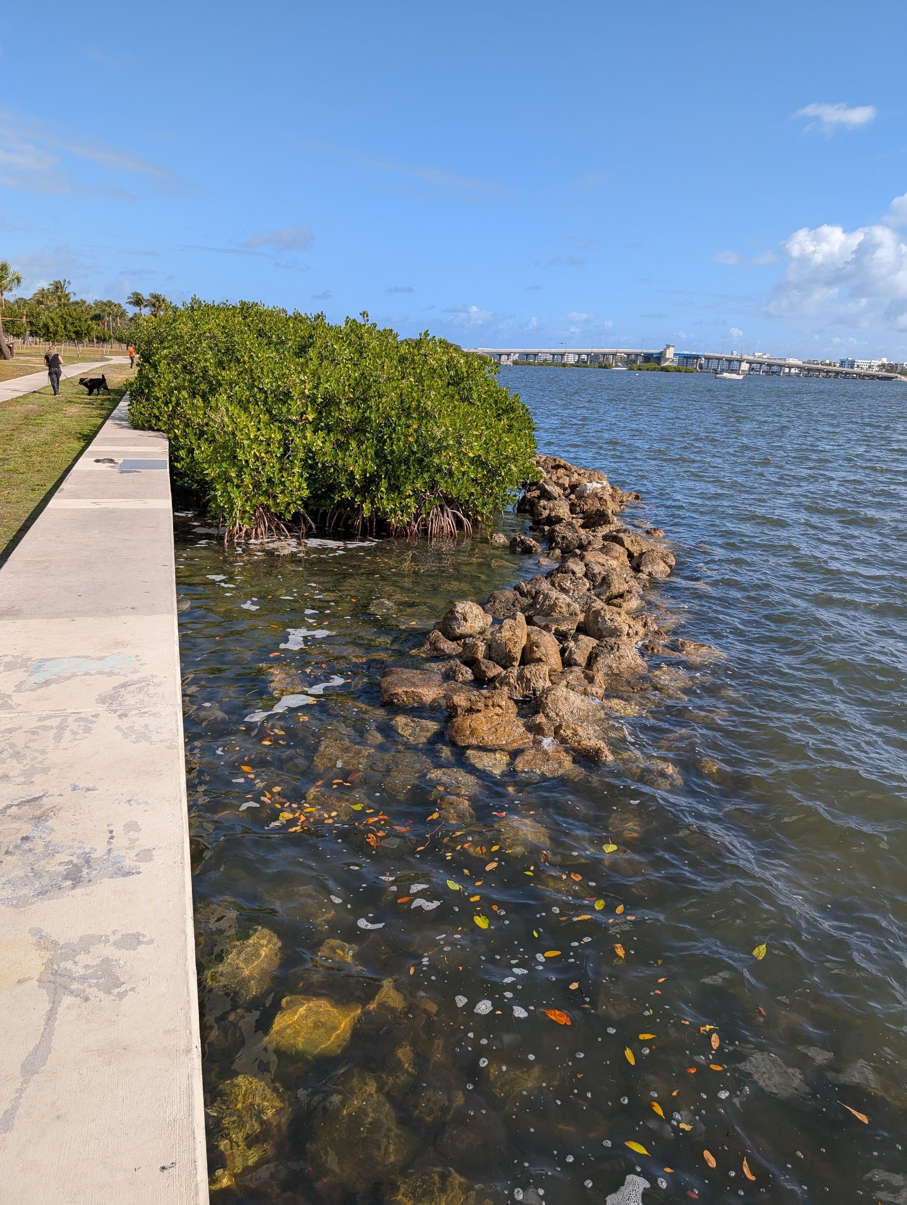 Concrete retaining wall next to rocks, no beach, 3 blocks away from suite.