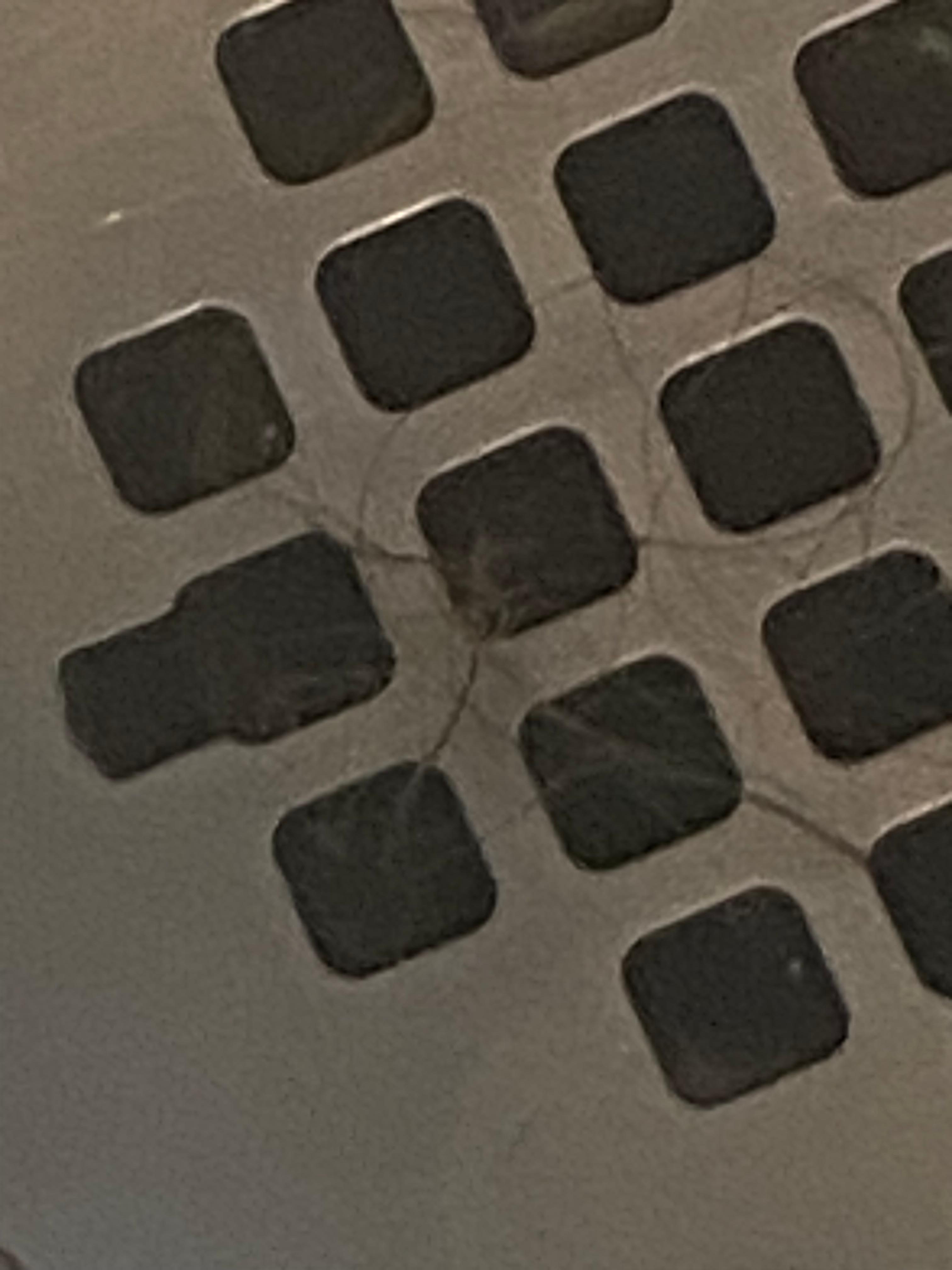Hair was in the shower drain. I did not take photos of the soiled sheets, food on the carpet or ratting elevator