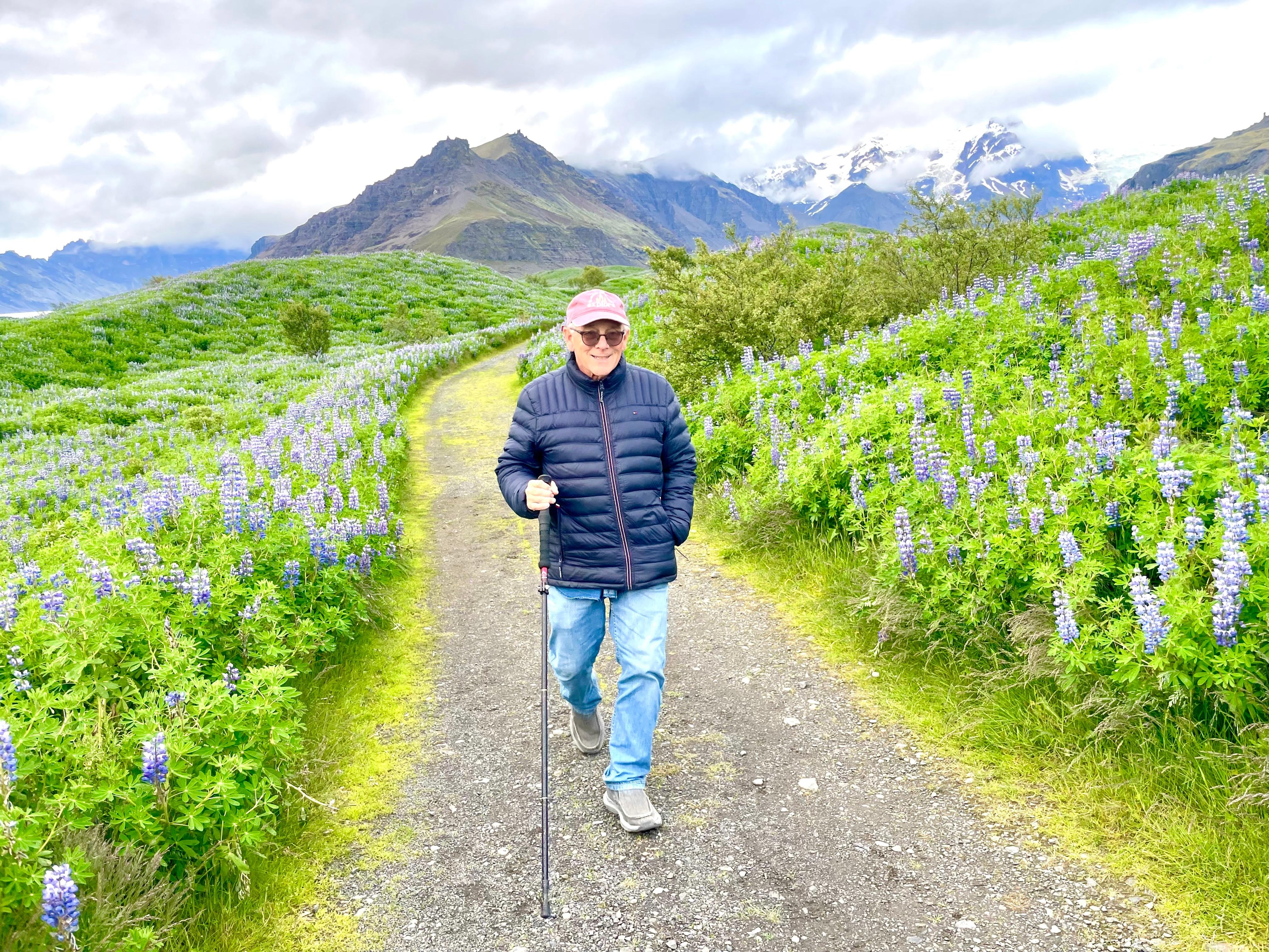 Lupines everywhere!