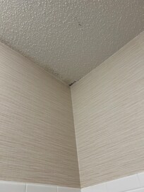 Mold everywhere.