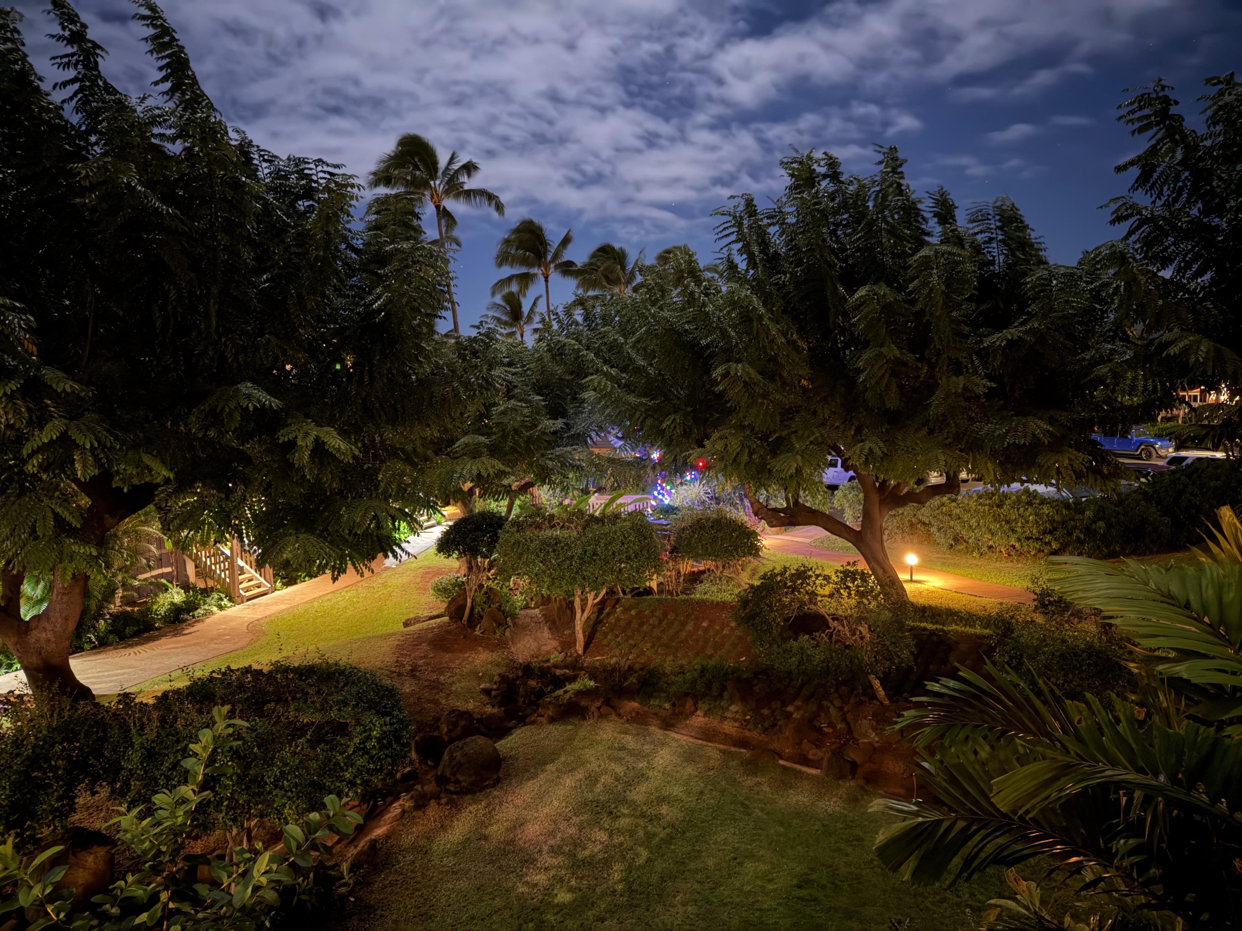 View from the lanai at midnight New Years Day.