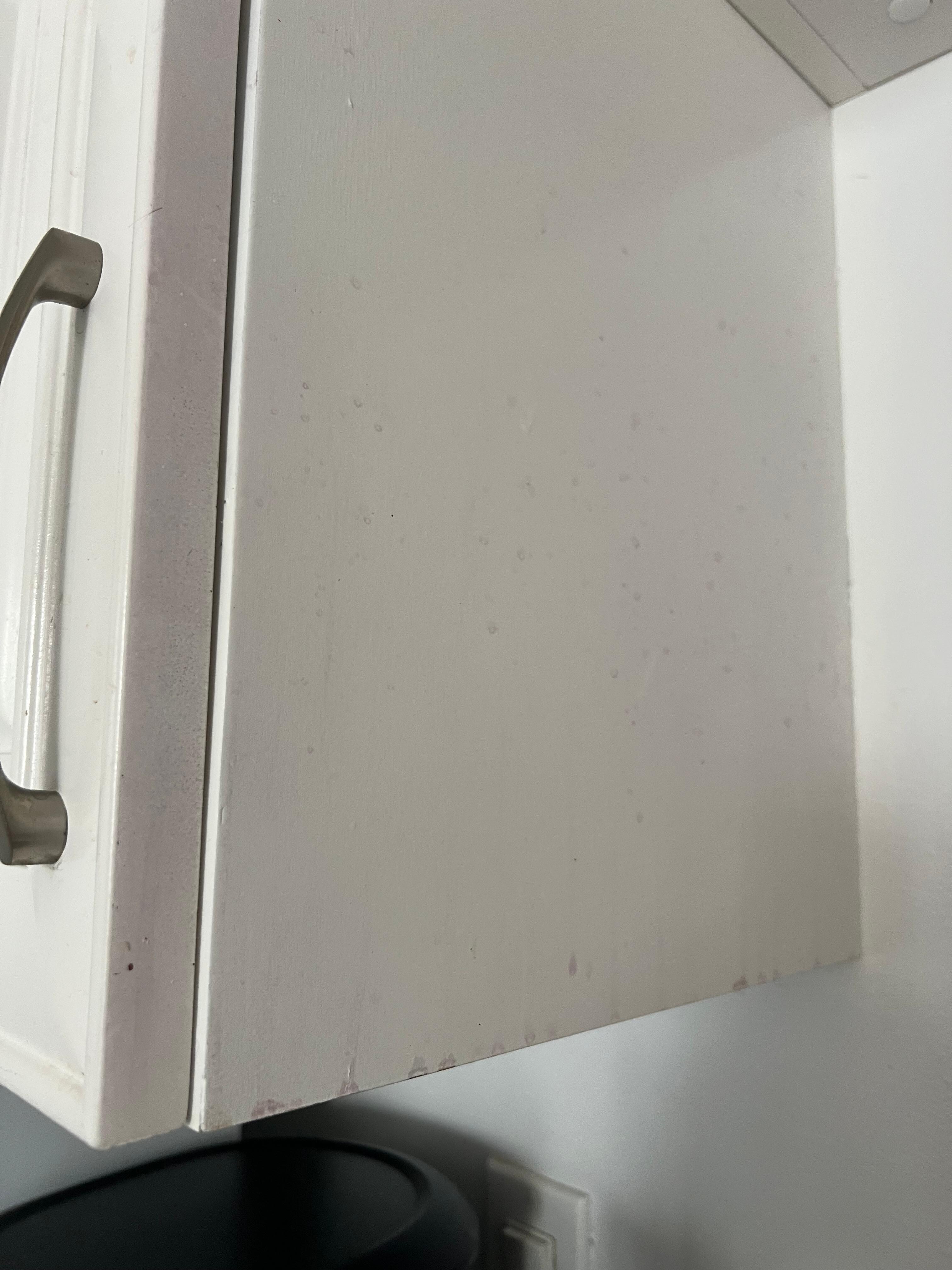 Cupboard 