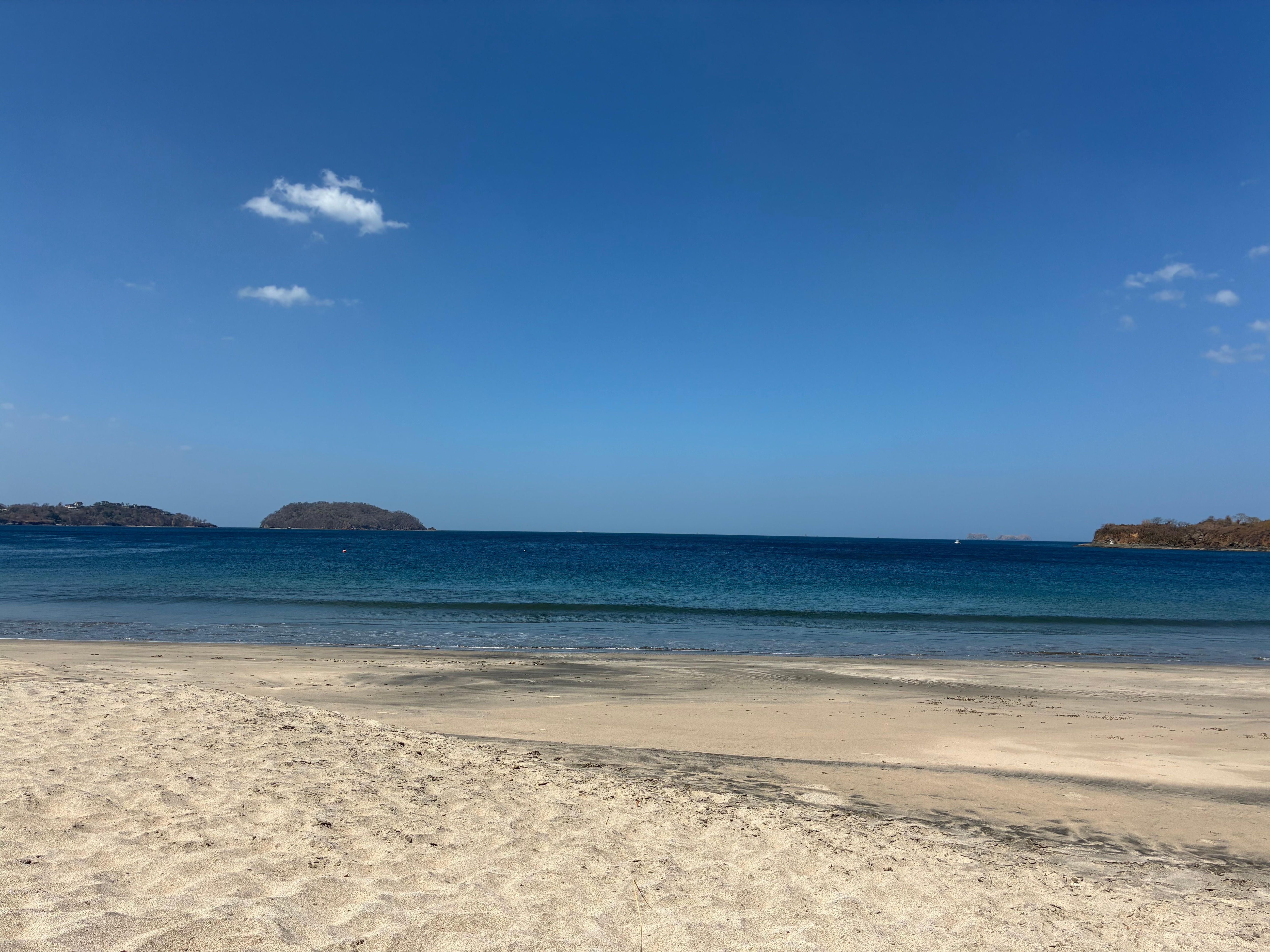 Just another quiet day at the beach