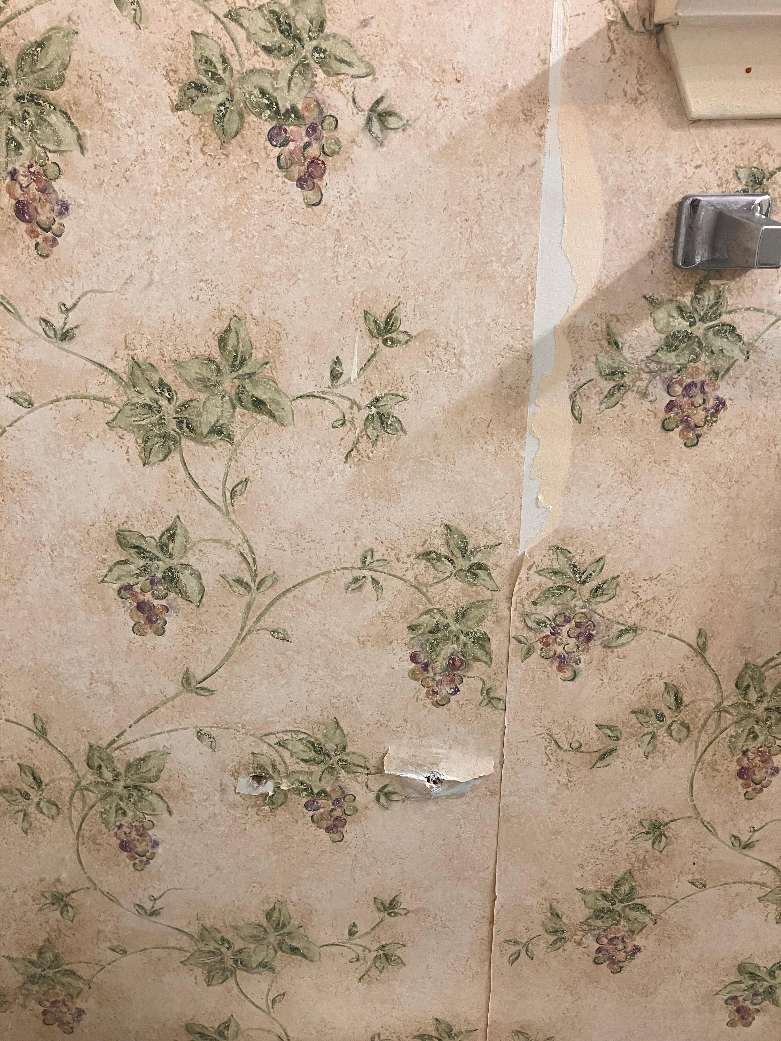 Both bathrooms had peeling and torn wallpaper. No TP holder in one. Sharp edge on one towel bar. And if it says it sleeps 12, give me 12 sets of towels, not 8. 