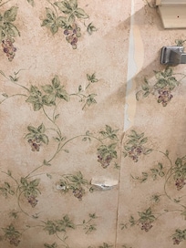 Both bathrooms had peeling and torn wallpaper. No TP holder in one. Sharp edge on one towel bar. And if it says it sleeps 12, give me 12 sets of towels, not 8.