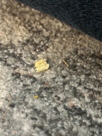 So many crumbs in the couches. Popcorn and chips. This was after my DIL vacuumed up off of the couch