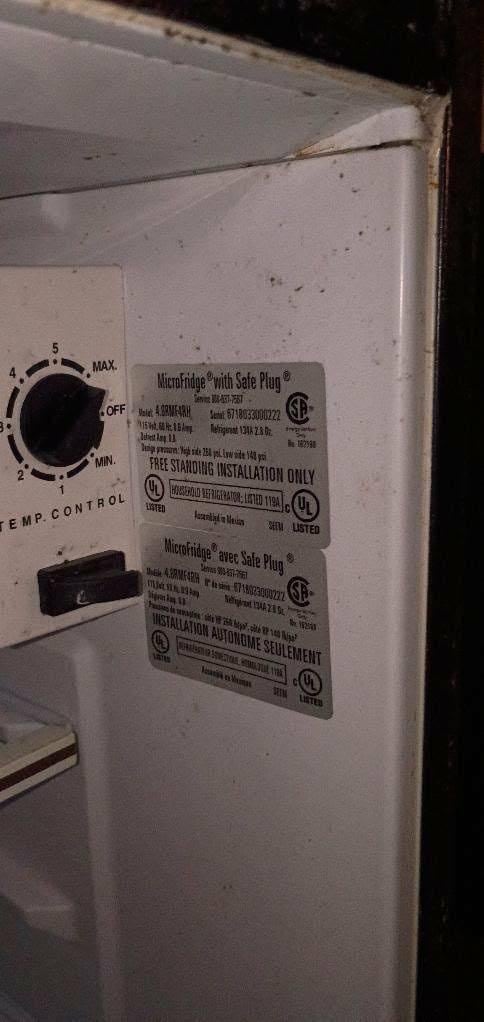 Roach eggs in the fridge